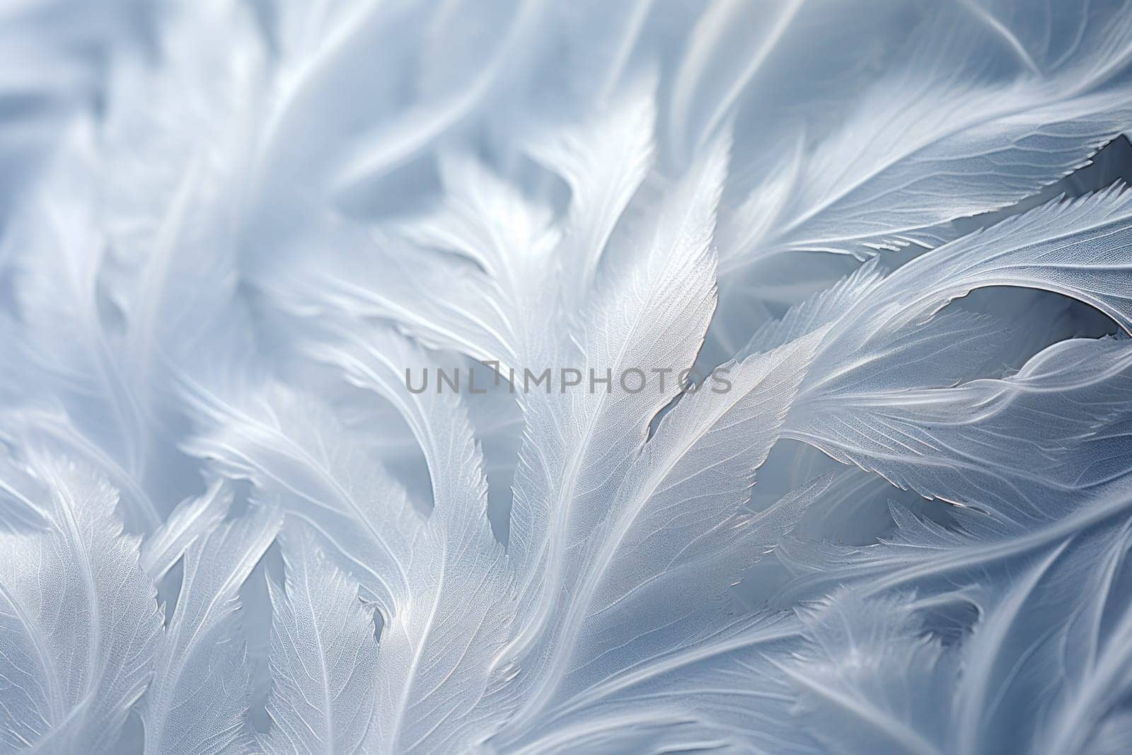 A mesmerizing exploration of winter's artistic side, unveiling captivating abstract patterns etched in the delicate intricacies of snow and frost on various surfaces.