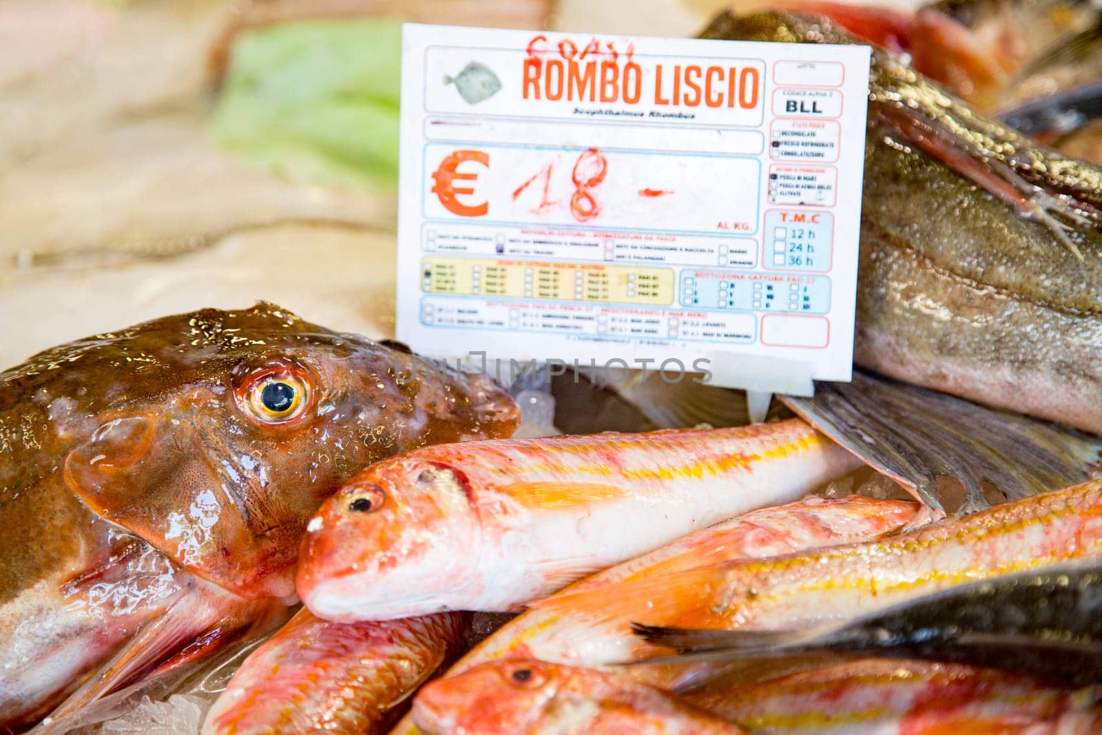 Freshly caught fish at fishmonger on table by Ciorba