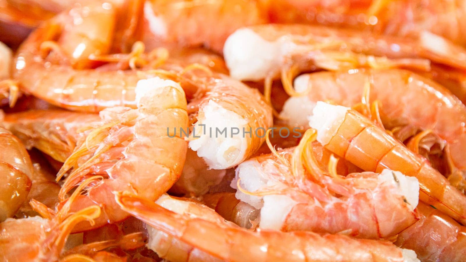 Freshly caught fish at fishmonger on table by Ciorba