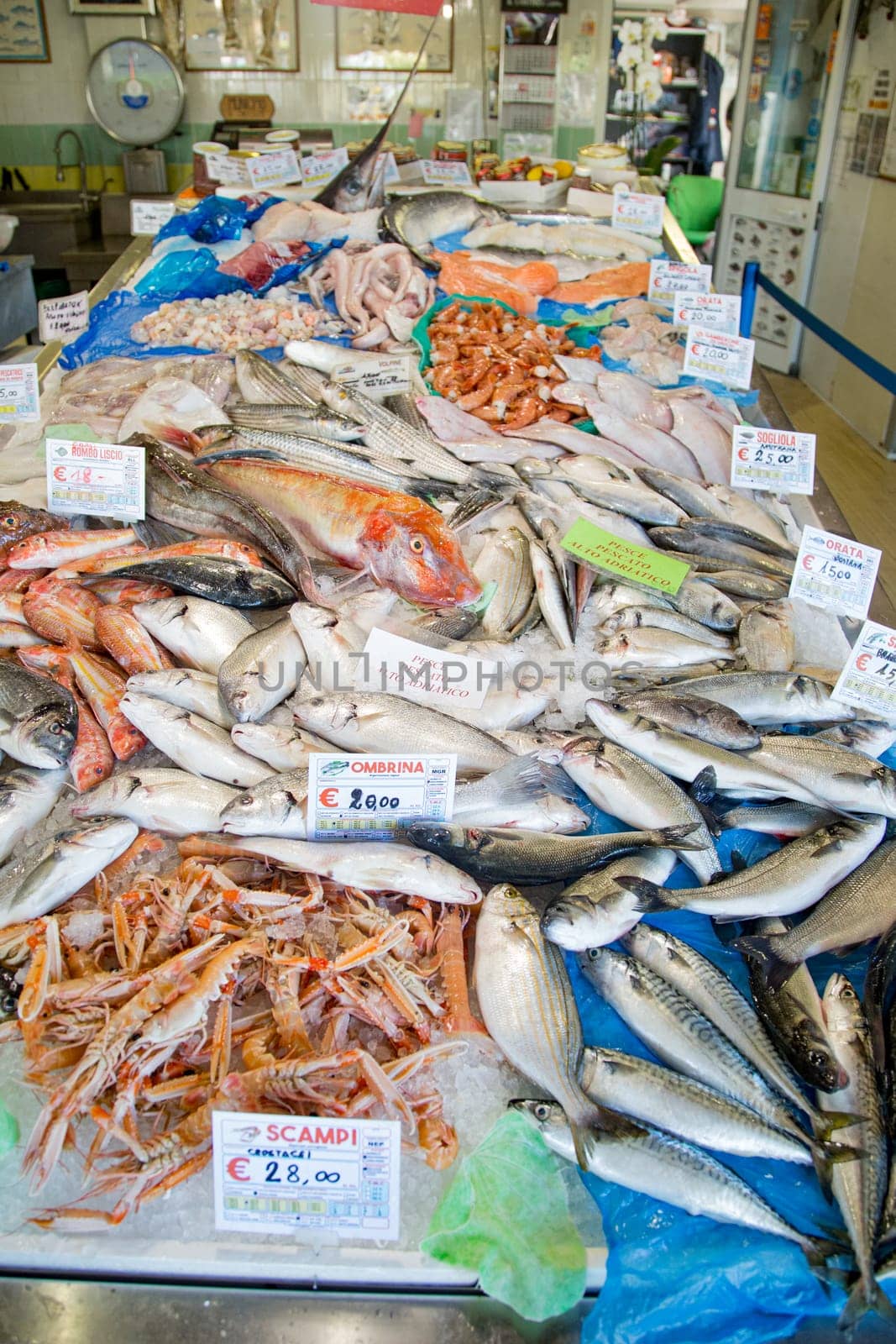 Top view of fresh fish on a fishmonger's stall. Gourmet sea healthy food.