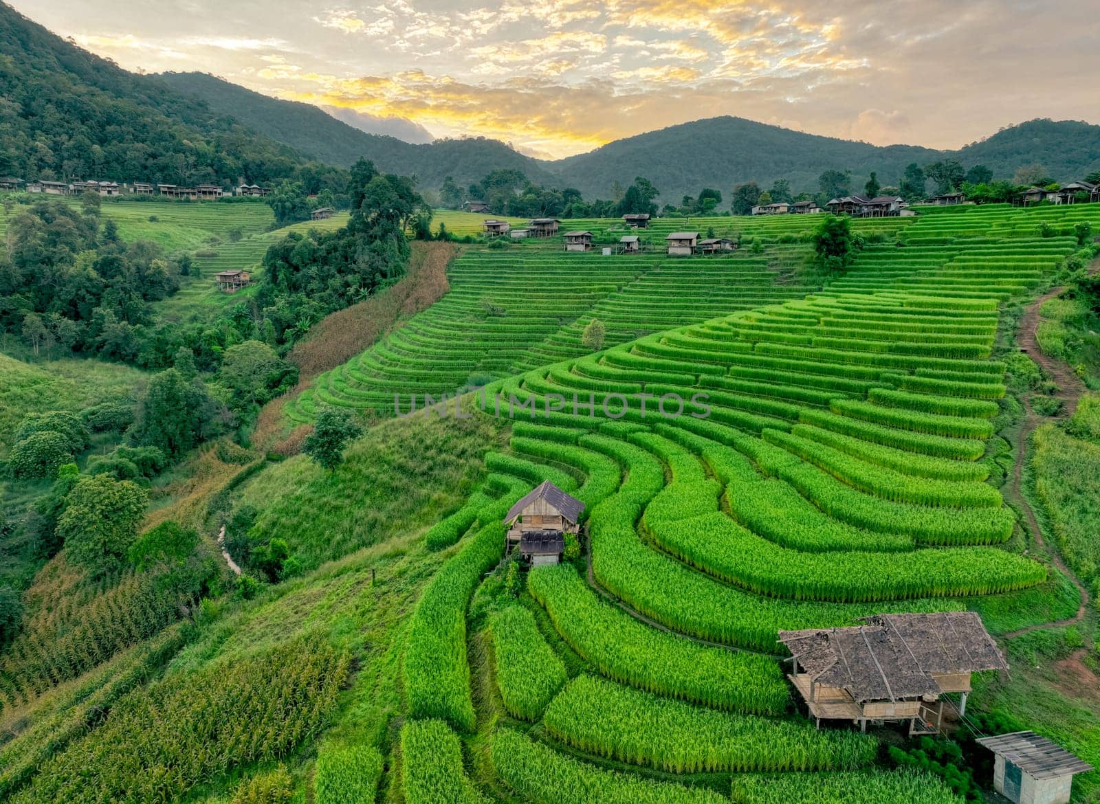 Landscape of green rice terraces amidst mountain agriculture. Travel destinations in Chiangmai, Thailand. Terraced rice fields. Traditional farming. Asian food. Thailand tourism. Nature landscape. by Fahroni