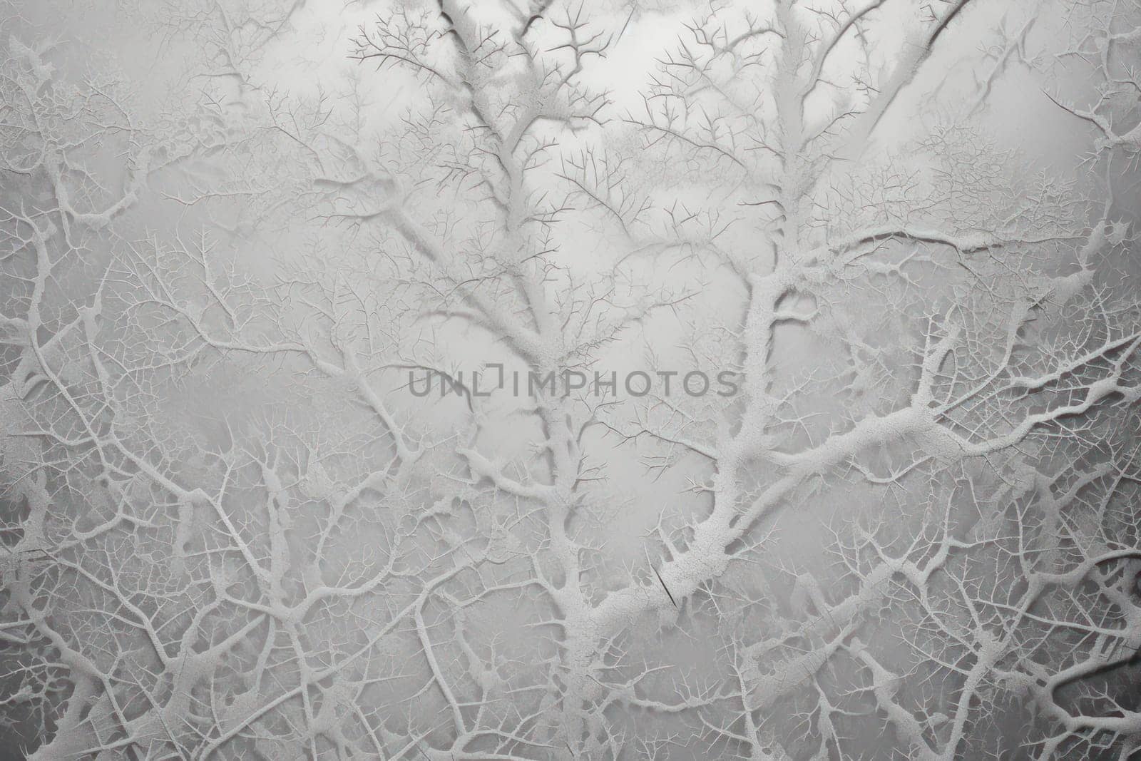 A mesmerizing exploration of winter's artistic side, unveiling captivating abstract patterns etched in the delicate intricacies of snow and frost on various surfaces.