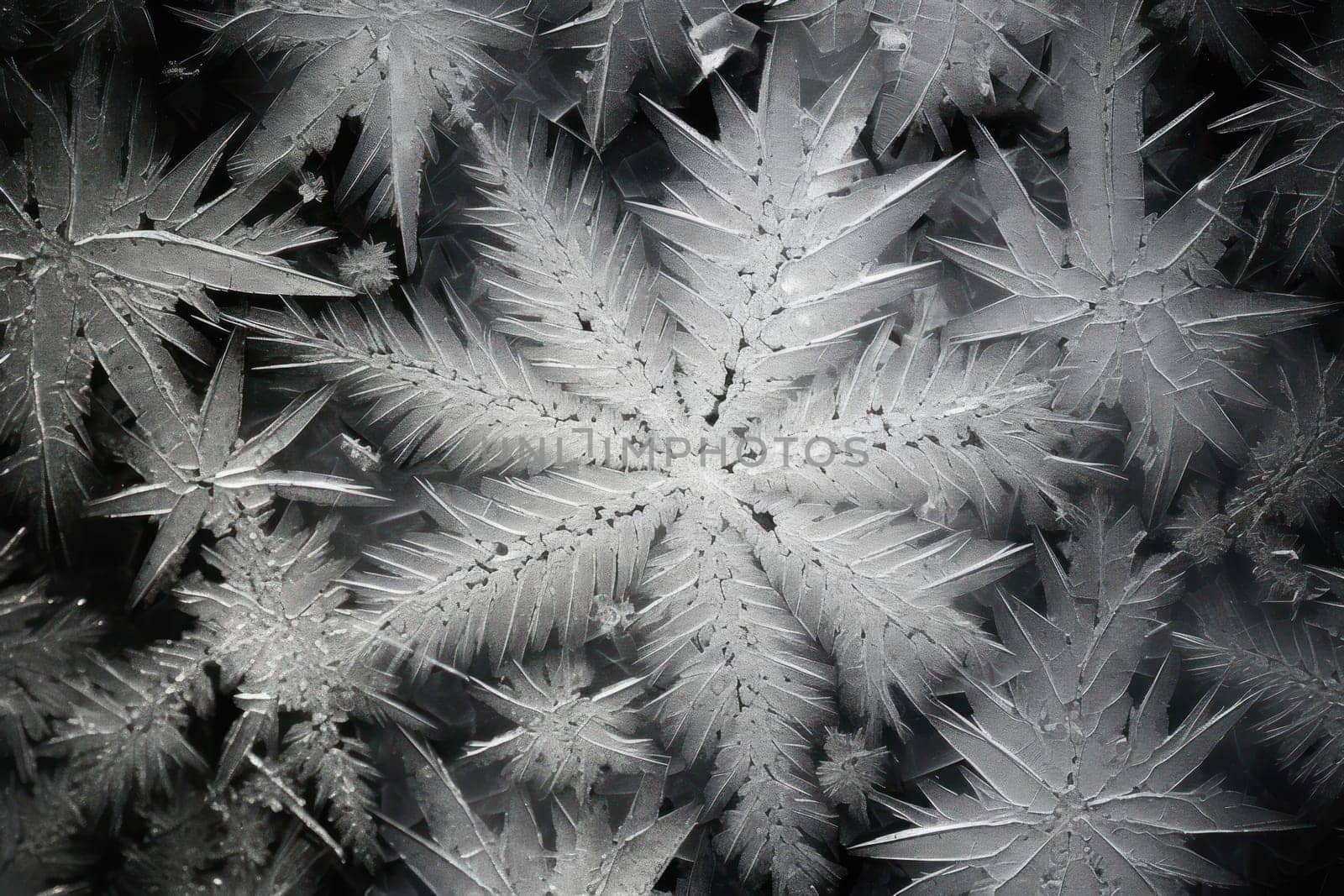 A mesmerizing exploration of winter's artistic side, unveiling captivating abstract patterns etched in the delicate intricacies of snow and frost on various surfaces.