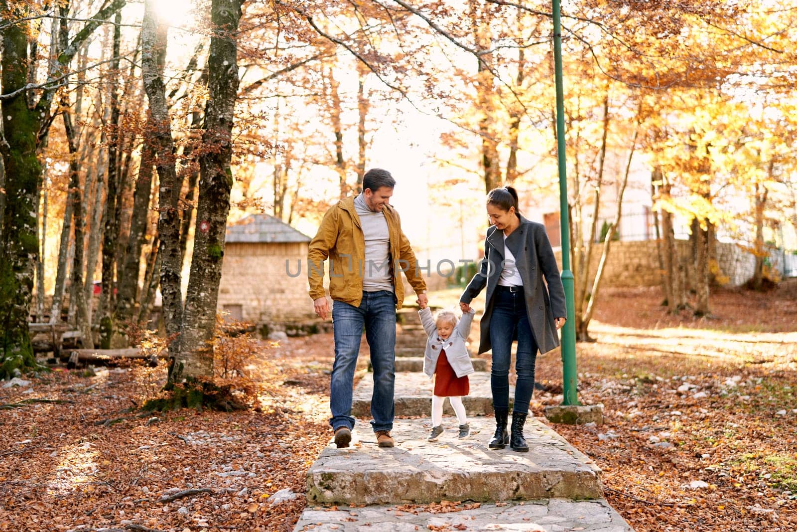 Parents lead their little daughter by the hands along a paved path in the autumn forest, lifting her above the steps. High quality photo