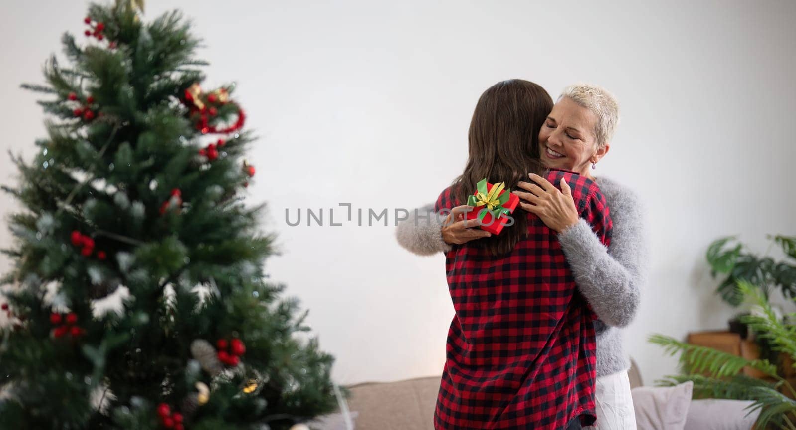Young woman giving present to happy mother and embrace indoors at home at Christmas by nateemee