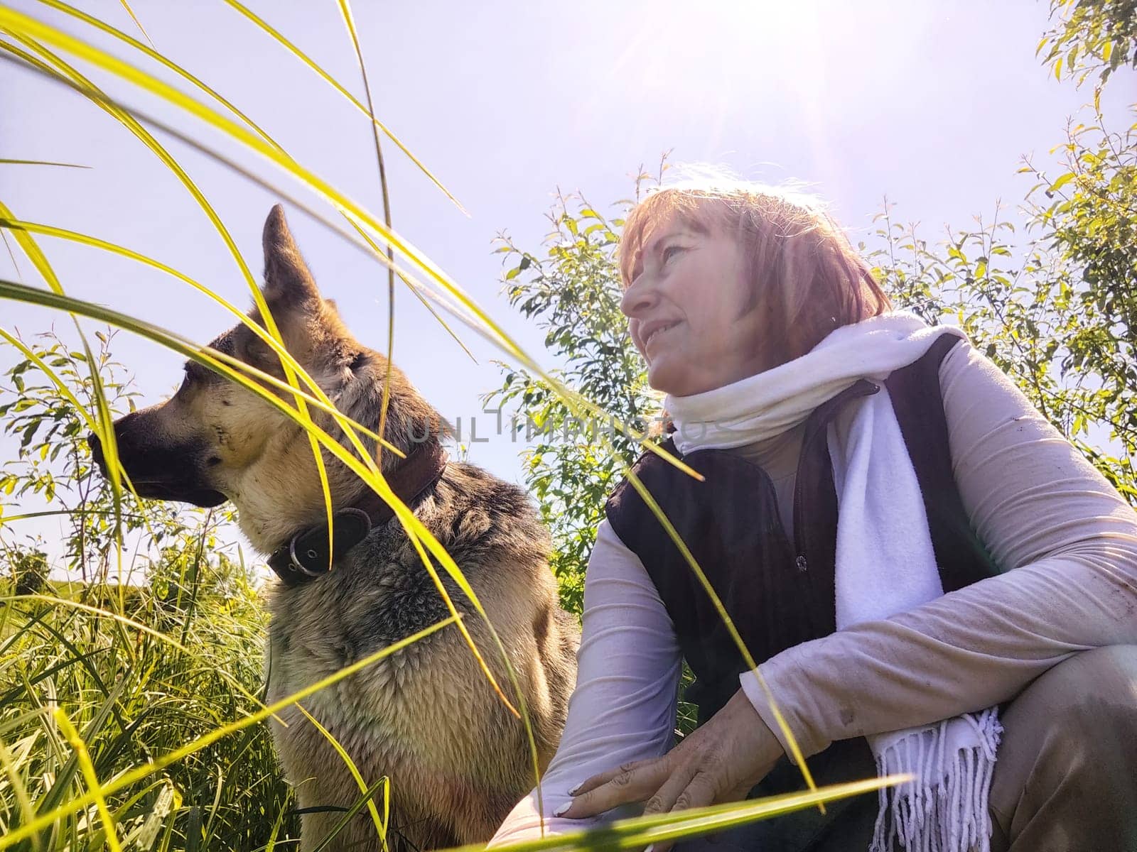 Dog German Shepherd and woman or girl in nature in summer, spring, summer sunny day. Russian eastern European dog and the mistress, trainer veo outside and outdoors with the rays of the sun