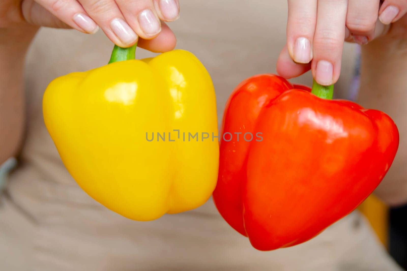 Woman holding red and yellow paprika close-up. Healthy eating or diet concept. High quality photo. High quality photo