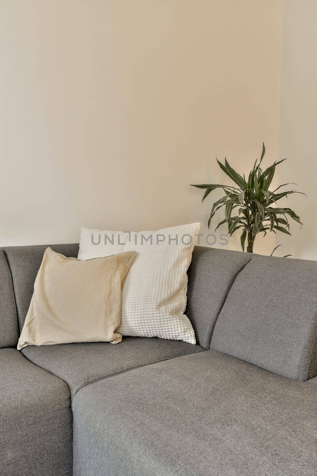 a couch with pillows and a potted plant by casamedia