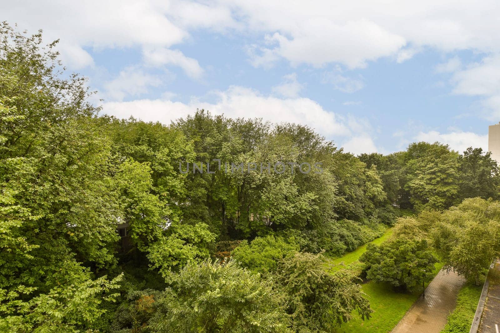some trees and bushes in the park with a blue sky above it, taken from an aerial view point on a sunny day