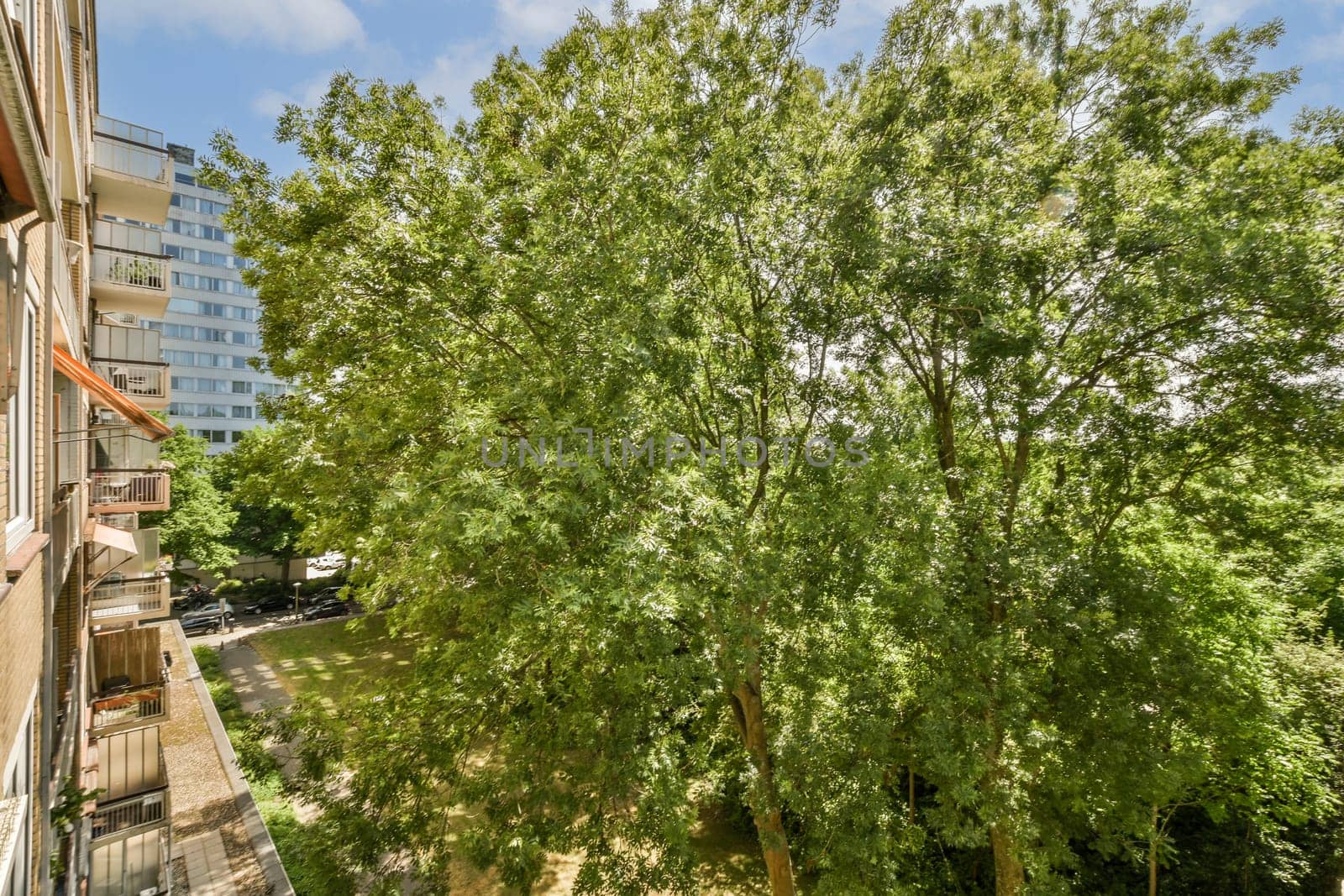 a view of a tree from a balcony by casamedia