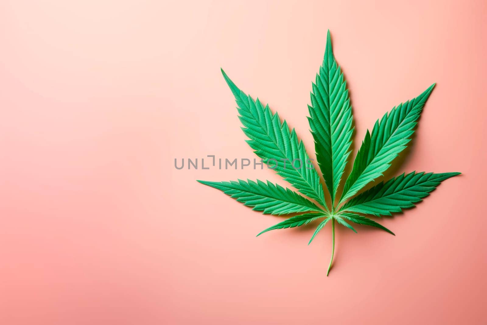 A cannabis leaf on a bright background. Minimalism. by Spirina