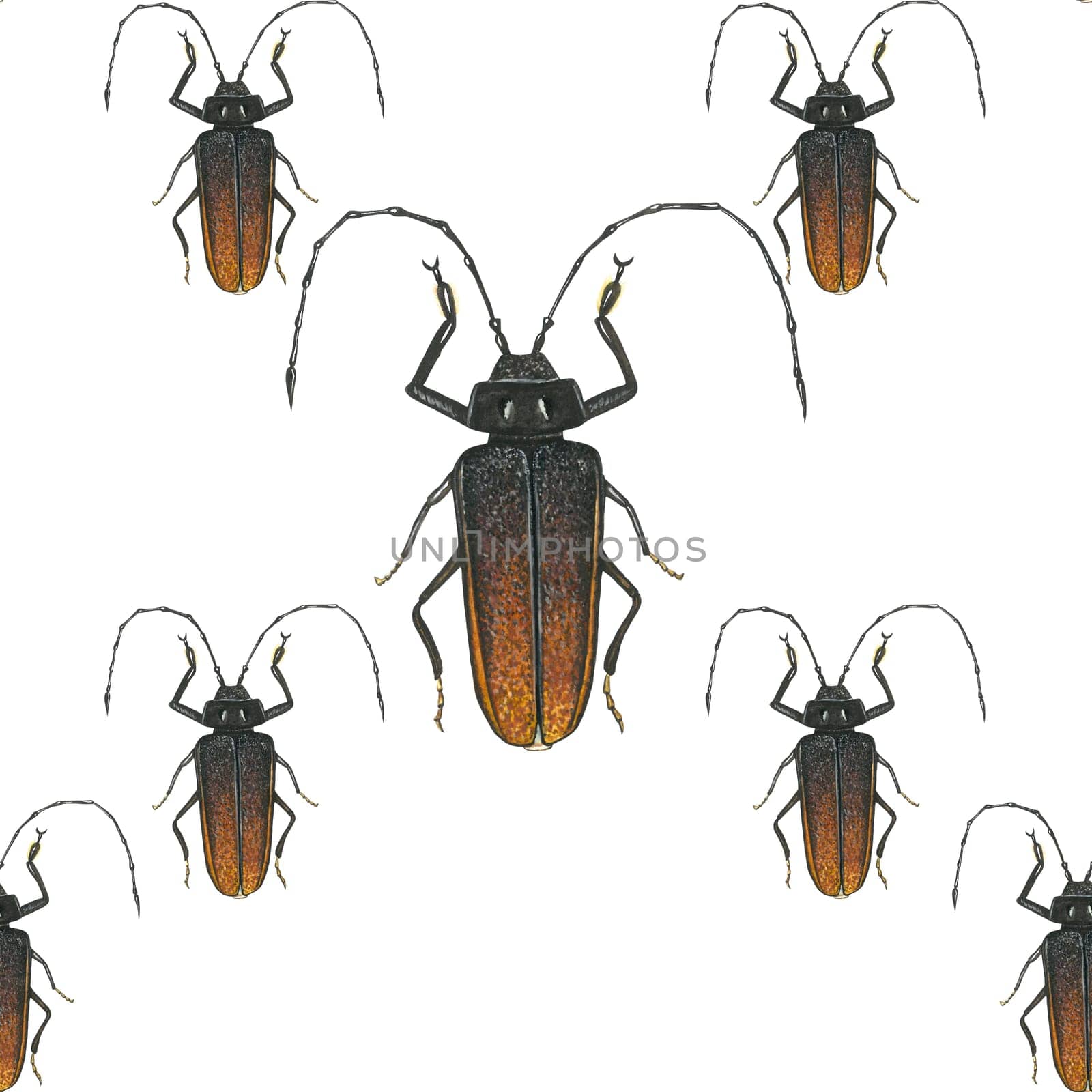 Seamless pattern of watercolor illustrations of a barbel beetle, isolated on a white background, hand-drawn.