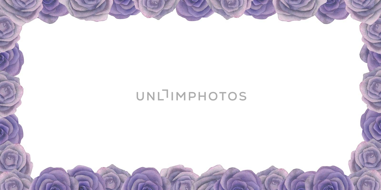 Rectangular frame of watercolor illustrations of lilac roses, on a white background, hand drawn by OlSi