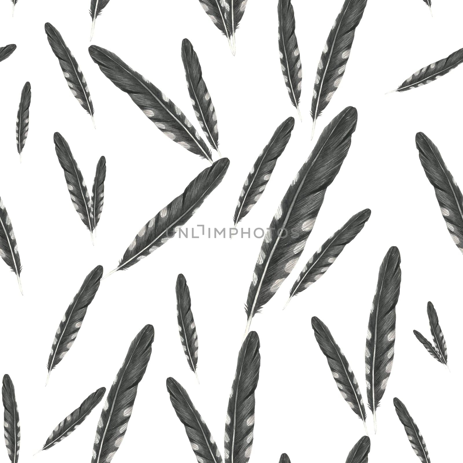 Seamless pattern watercolor illustration of cuckoo feathers, isolated on a white background hand drawn by OlSi