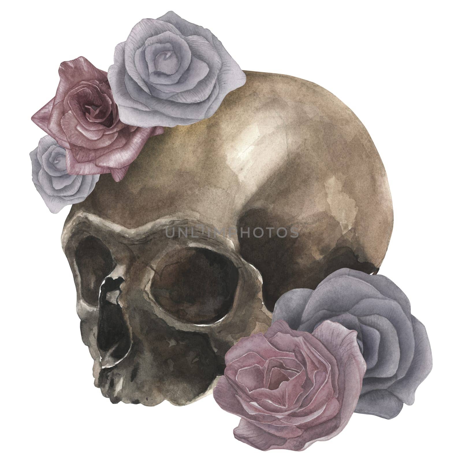 Watercolor illustration of a skull and dusty roses. Isolated on a white background, hand-drawn.