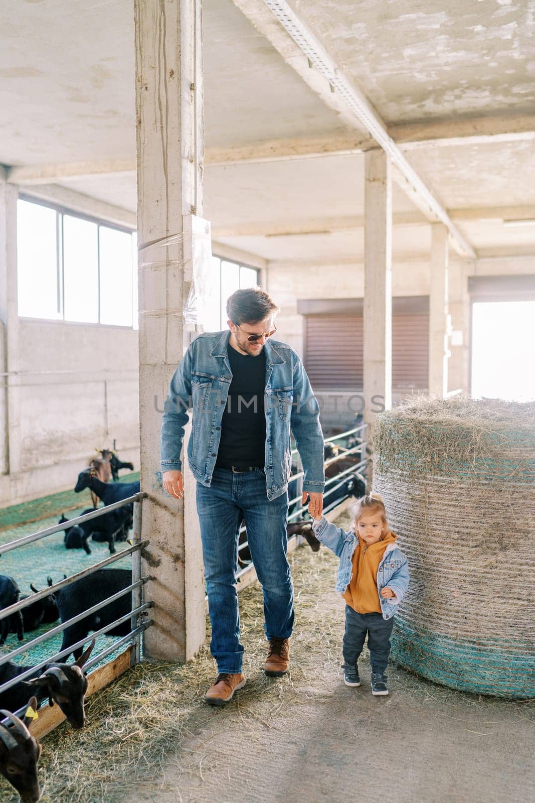 Father and a little girl are walking along the farm near a large bale of hay to the goat pens by Nadtochiy