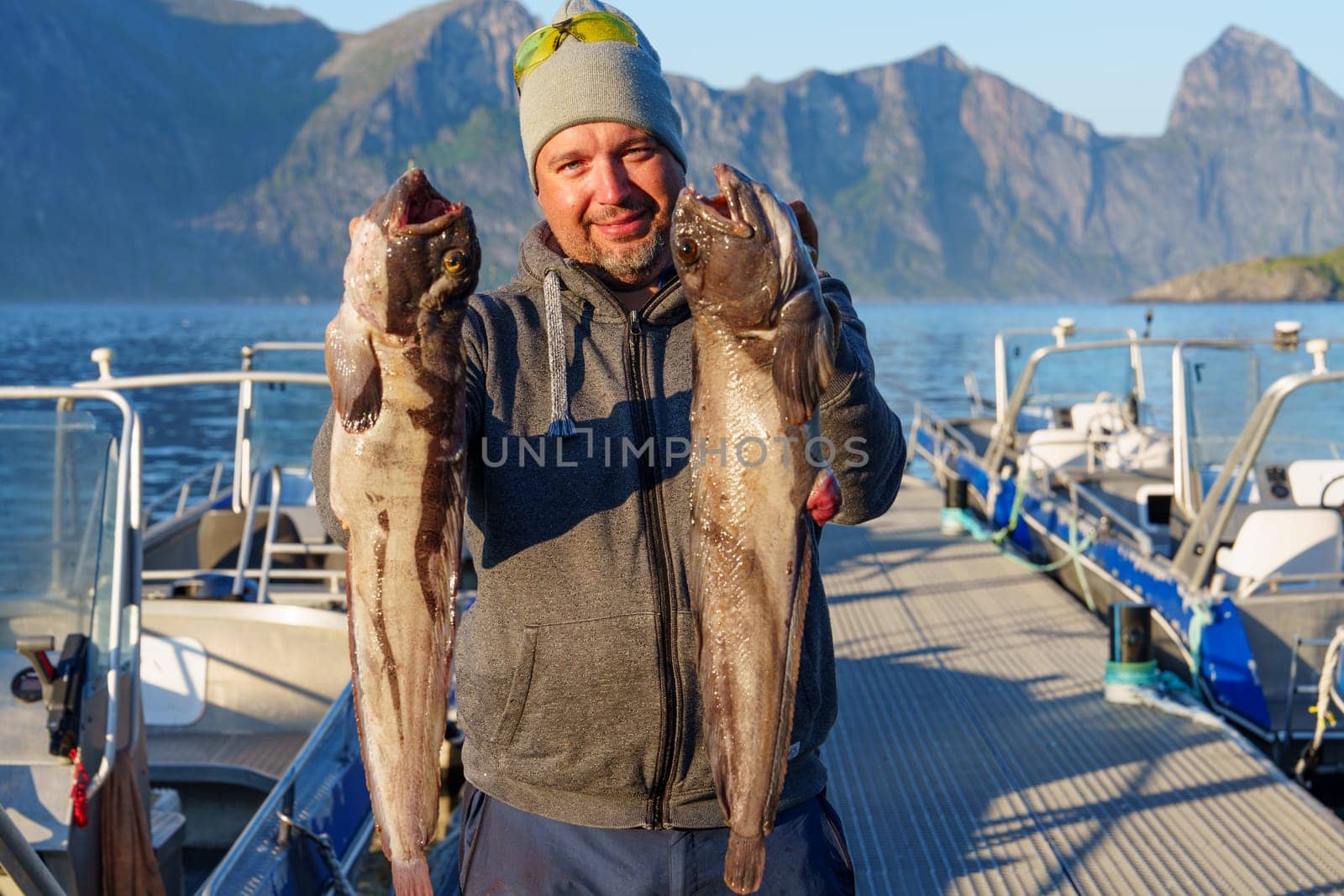 Fisherman with big wolffish on the boat near Lofoten, Senija, Alta - Norway. Man holding catch Atlantic wolf fish