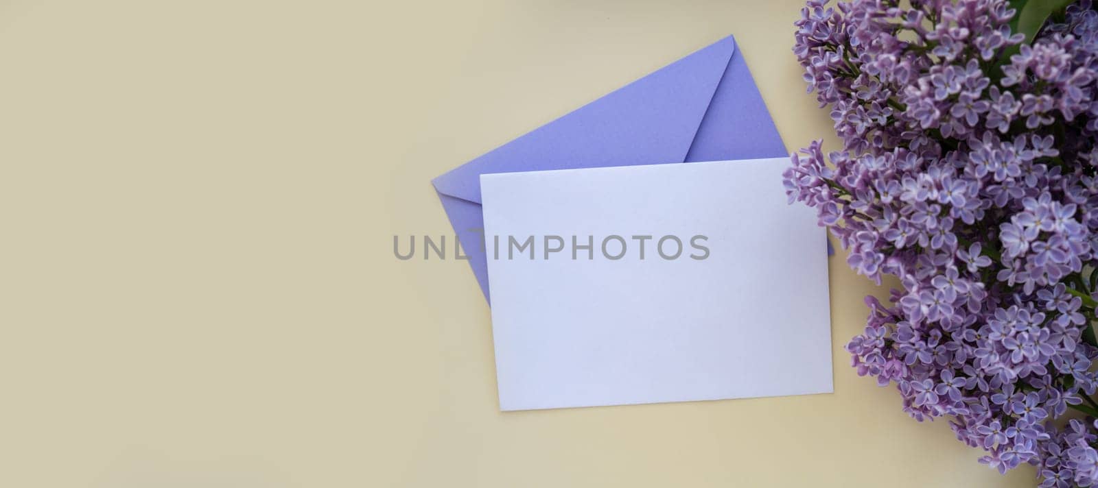 Composition with empty violet envelope and beautiful spring lilac flowers on beige background. Mockup card invitation greeting card postcard copy space template blank. Branches of lilac blooming bouquet.