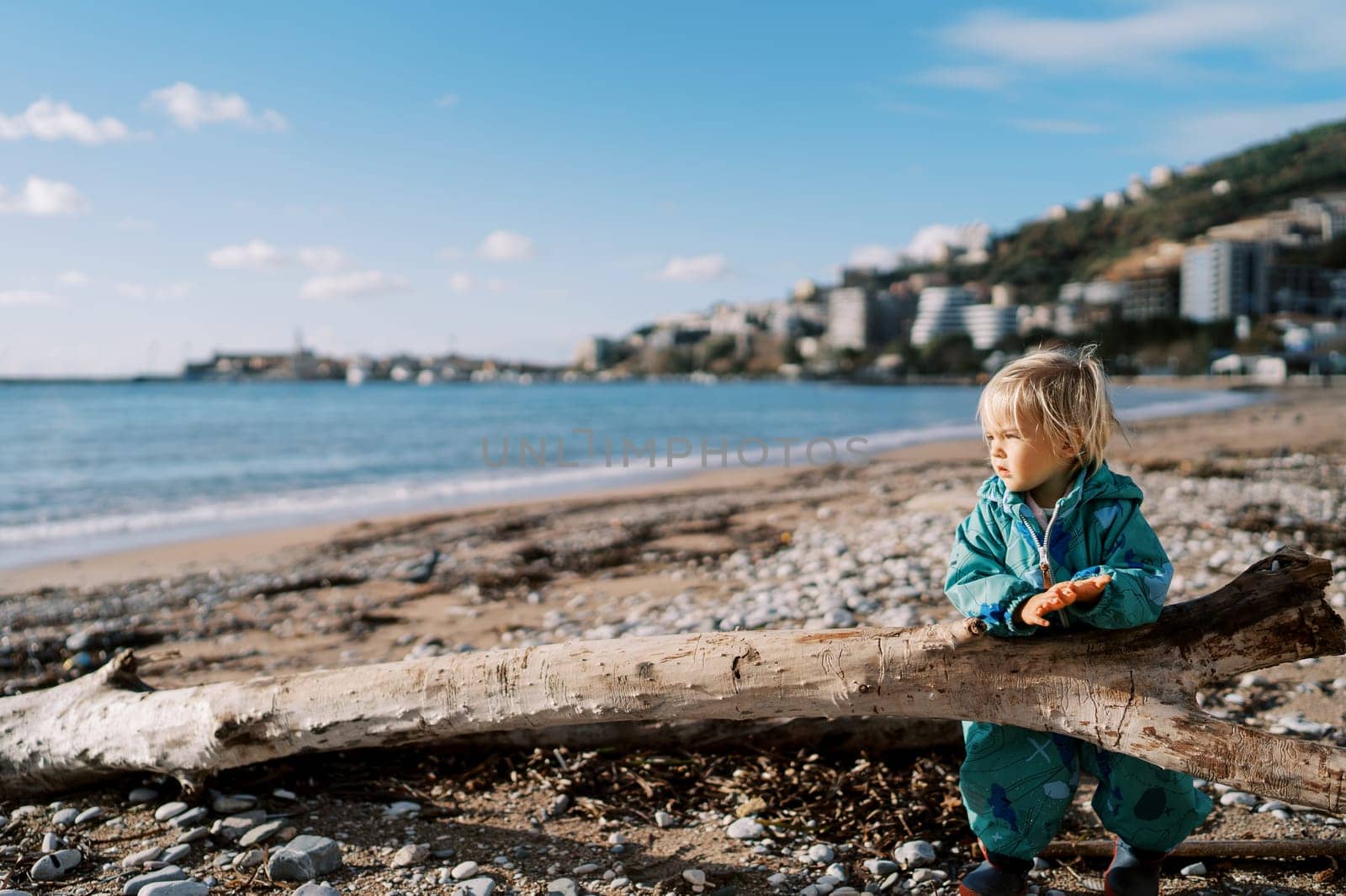 Little girl leaning on a snag on the beach looking at the sea. High quality photo