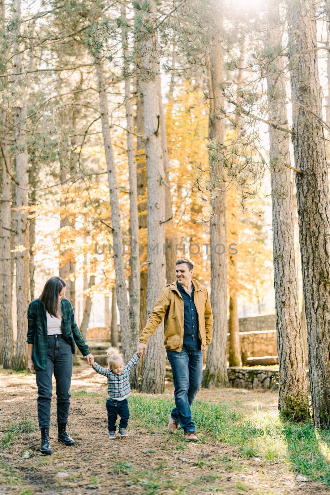Mom and dad are holding the hands of a little girl walking in the park. High quality photo