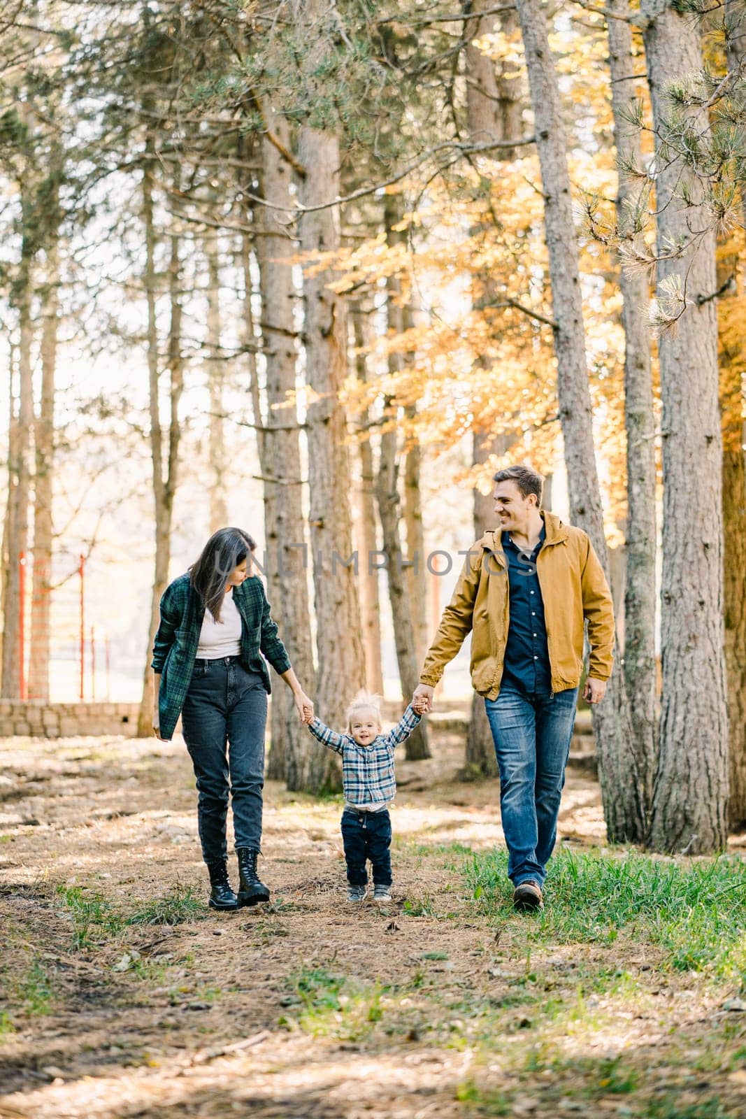 Mom, dad and little girl walk through the autumn forest holding hands. High quality photo