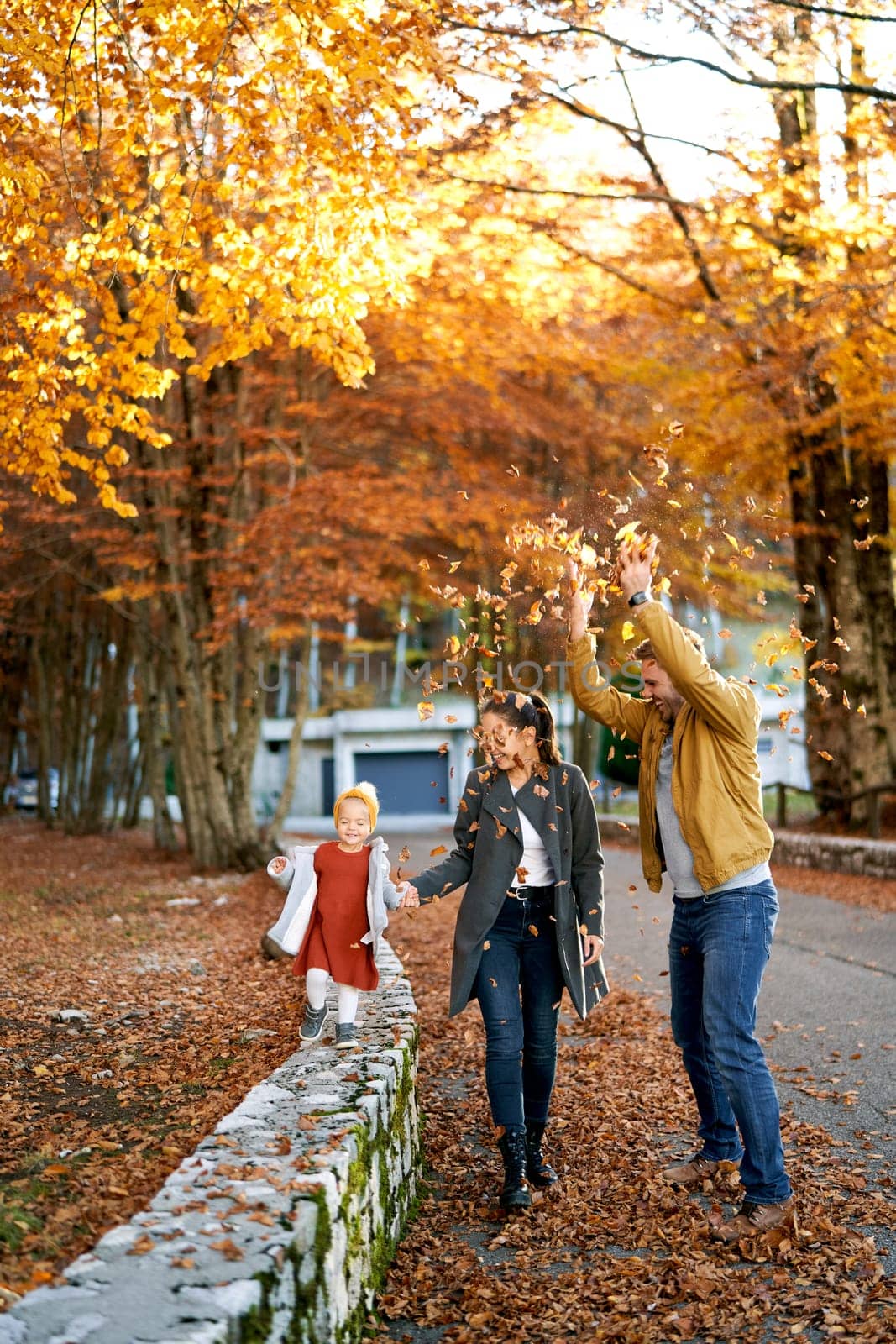Dad sprinkles dry leaves on mom and little girl walking through the autumn forest. High quality photo