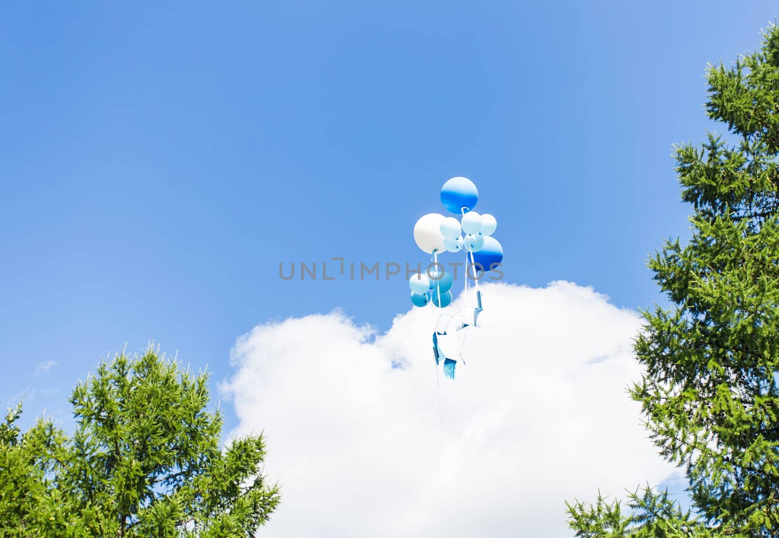 multicolored balloons flying in the blue sky