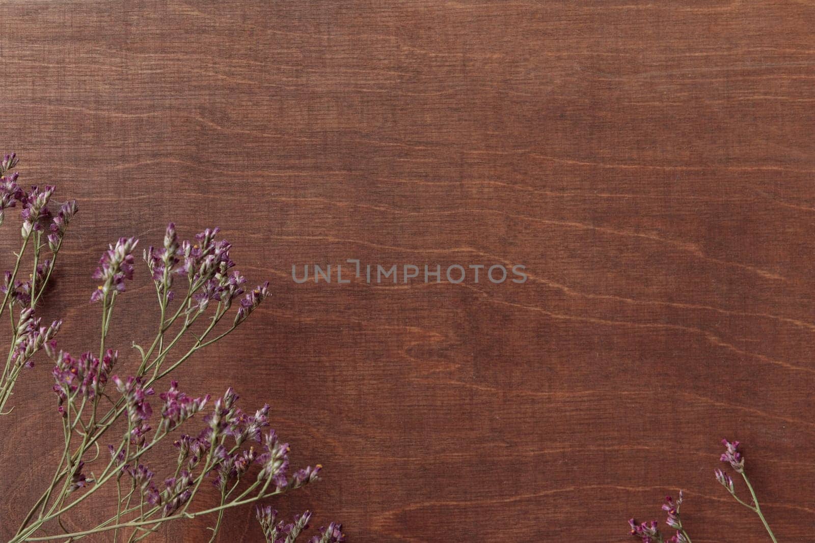 Wooden dark brown empty background with flowers top view with a copy space, horizontal banner