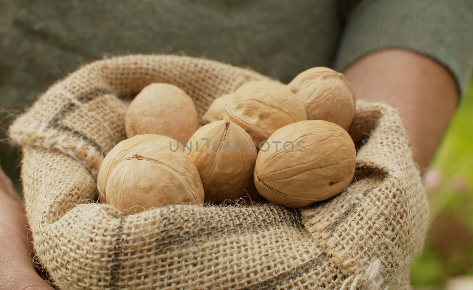 Walnuts in a burlap jute sack by Alize