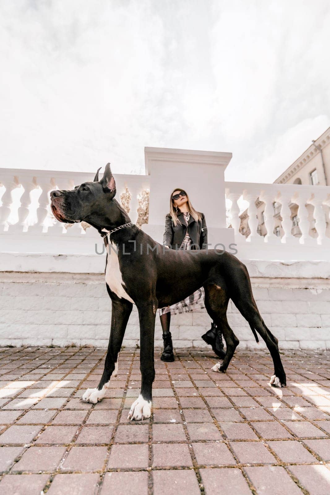 A woman walks with her Great Dane in an urban setting, enjoying the outdoors and the company of her dog