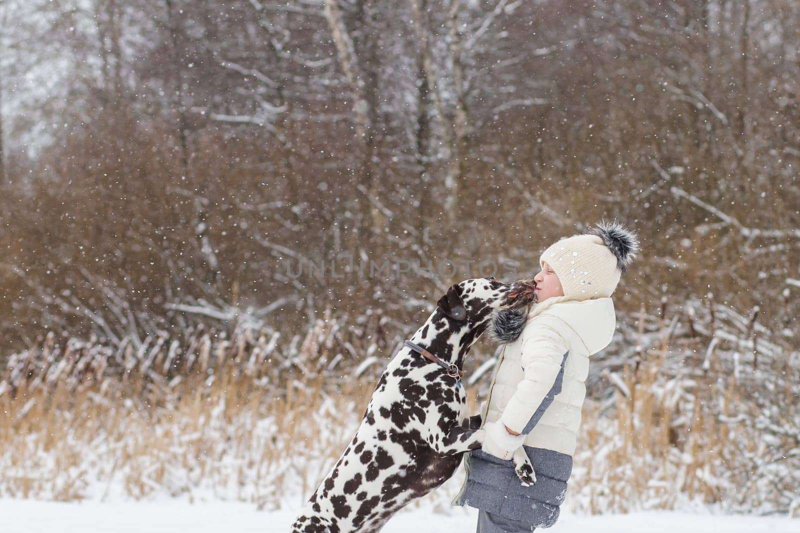 Young girl portrait in pink hat playing active game with her dog golden retriever in winter season