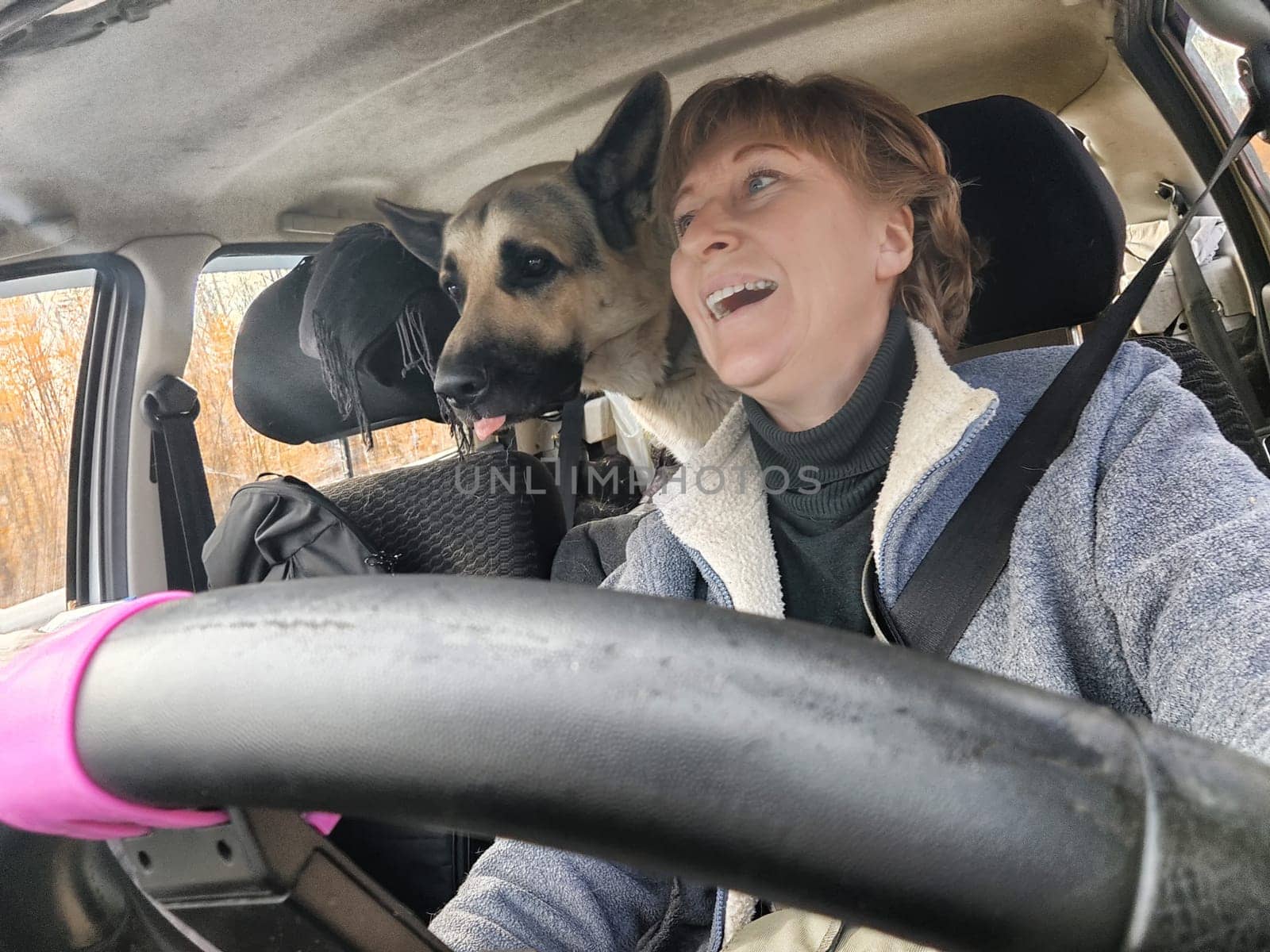 Portrait of female driver in solo journey with big dog. Adult middle aged woman holding steering wheel, looking through windscreen in travel by vehicle on vacation with shepherd. Lady girl in a travel