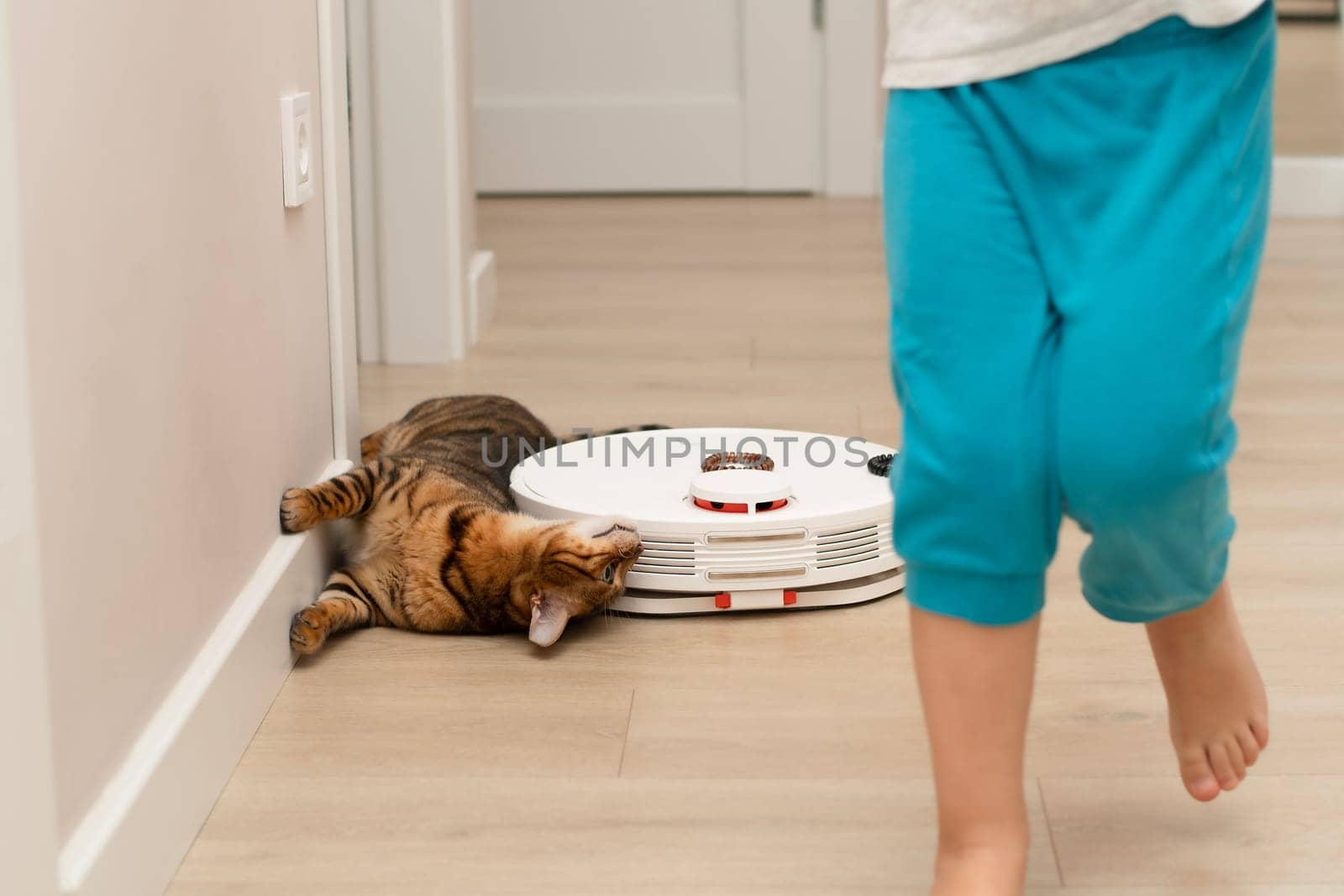 A little boy, 4 years old, and a beautiful, red, domestic, leopard cat of the Bengal breed are having fun playing in a home interior with a robot vacuum cleaner that cleans the apartment.