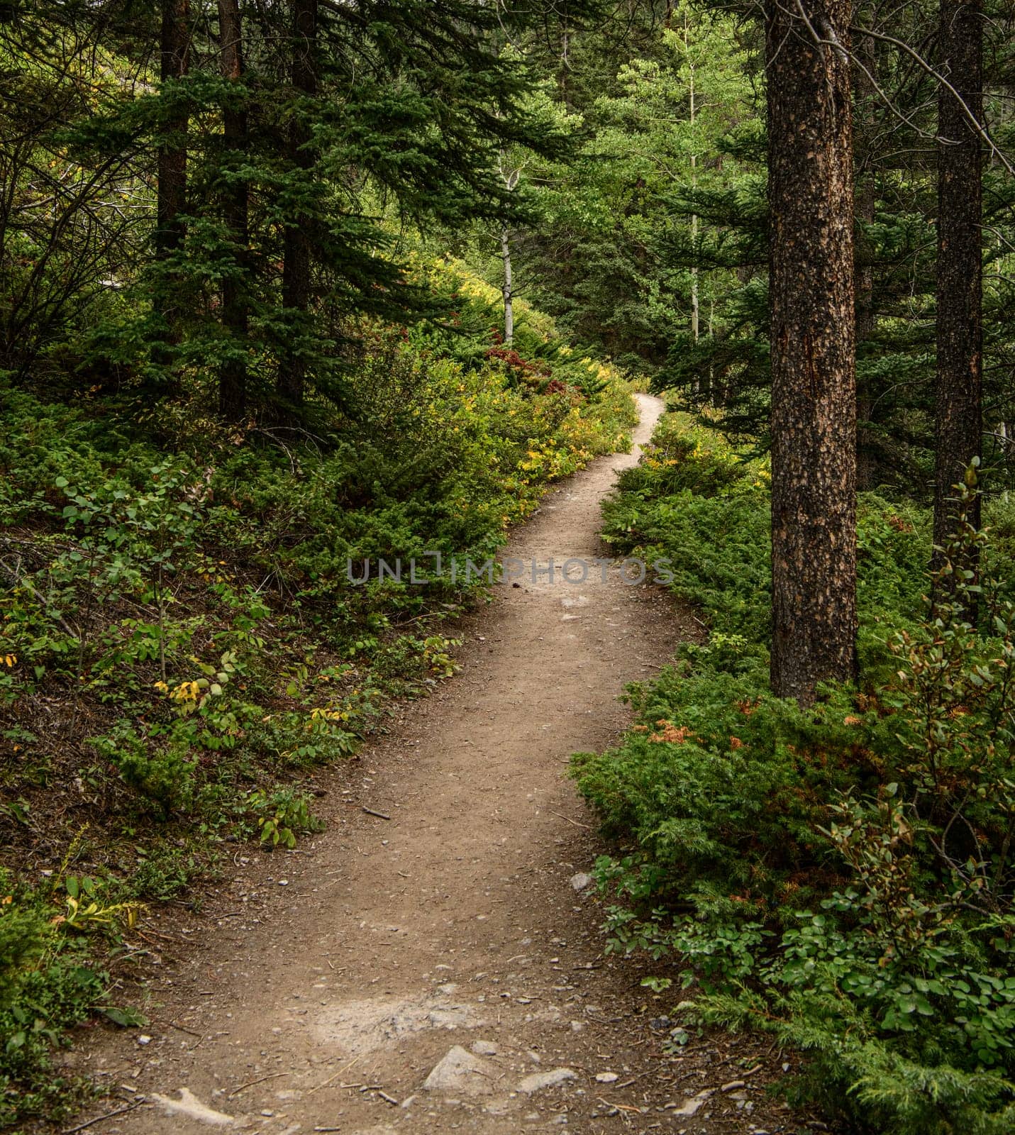 Malinge Canyon River Foot Trail by lisaldw