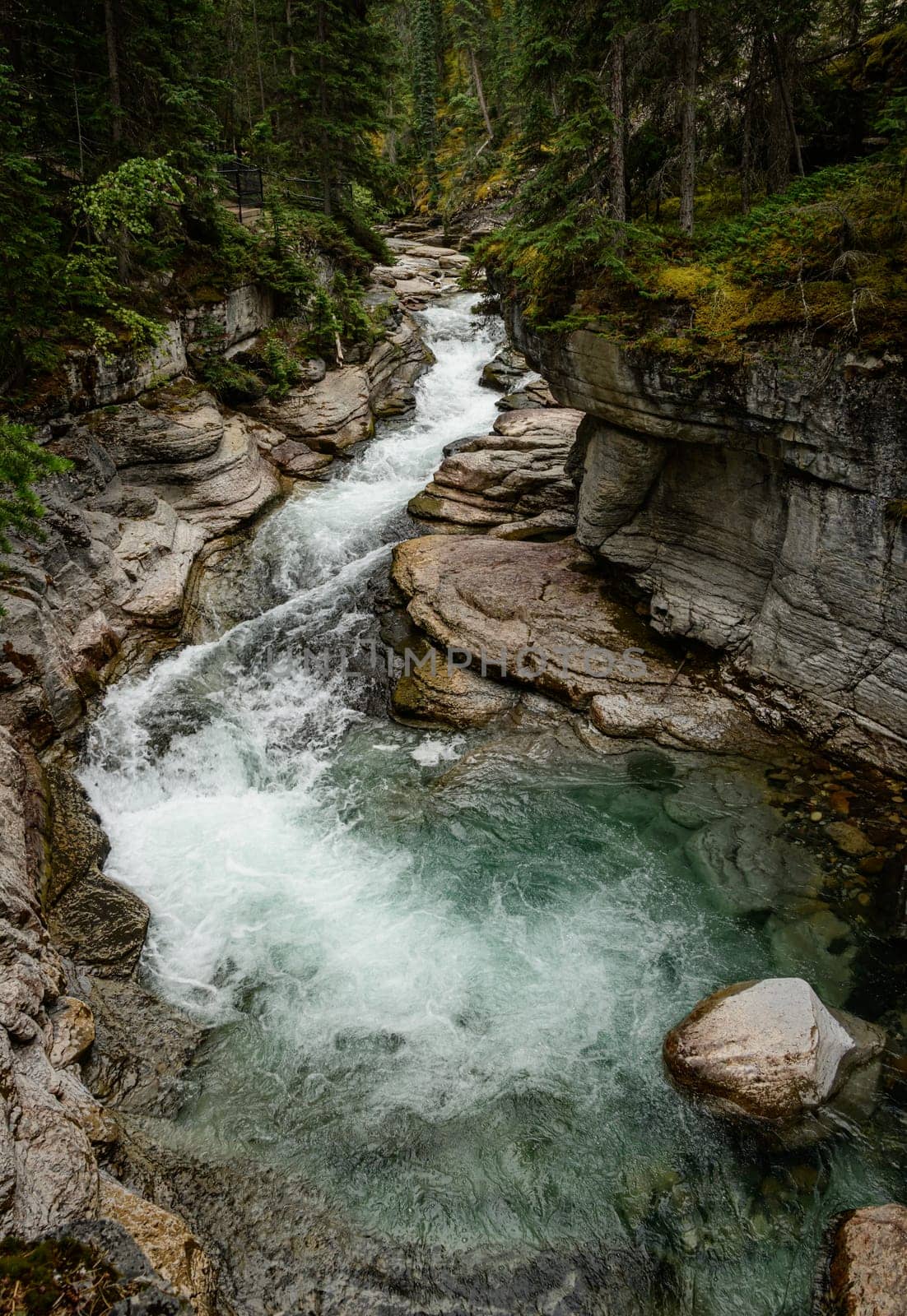 Maligne River Flows Jasper National Park by lisaldw