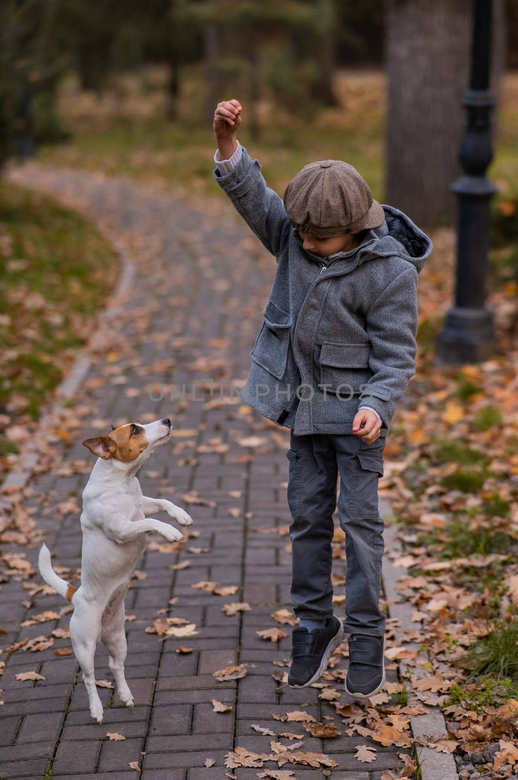 Caucasian boy playing with a dog for a walk in the autumn park