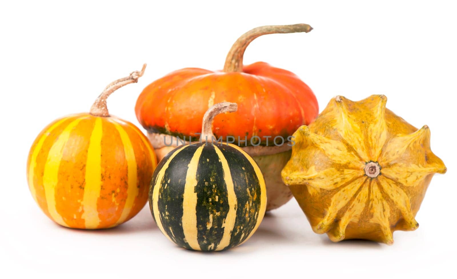 Group of colorful autumn of pumpkins isolated on white background by aprilphoto