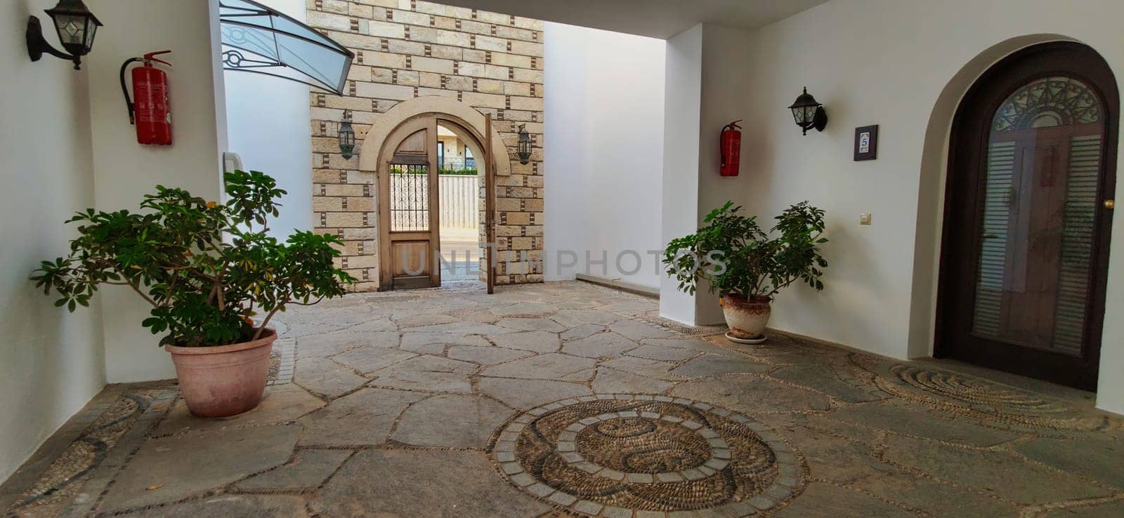 Large old house entrance interior with green plant and brick walls. download photo
