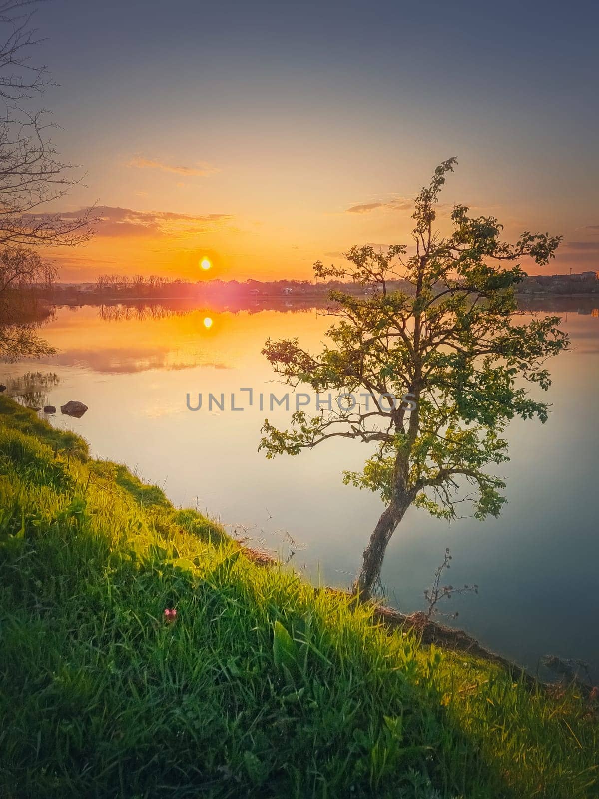 Sundown scene at the lake with a single tree on the hill. Vibrant sunset reflecting in the pond calm water by psychoshadow