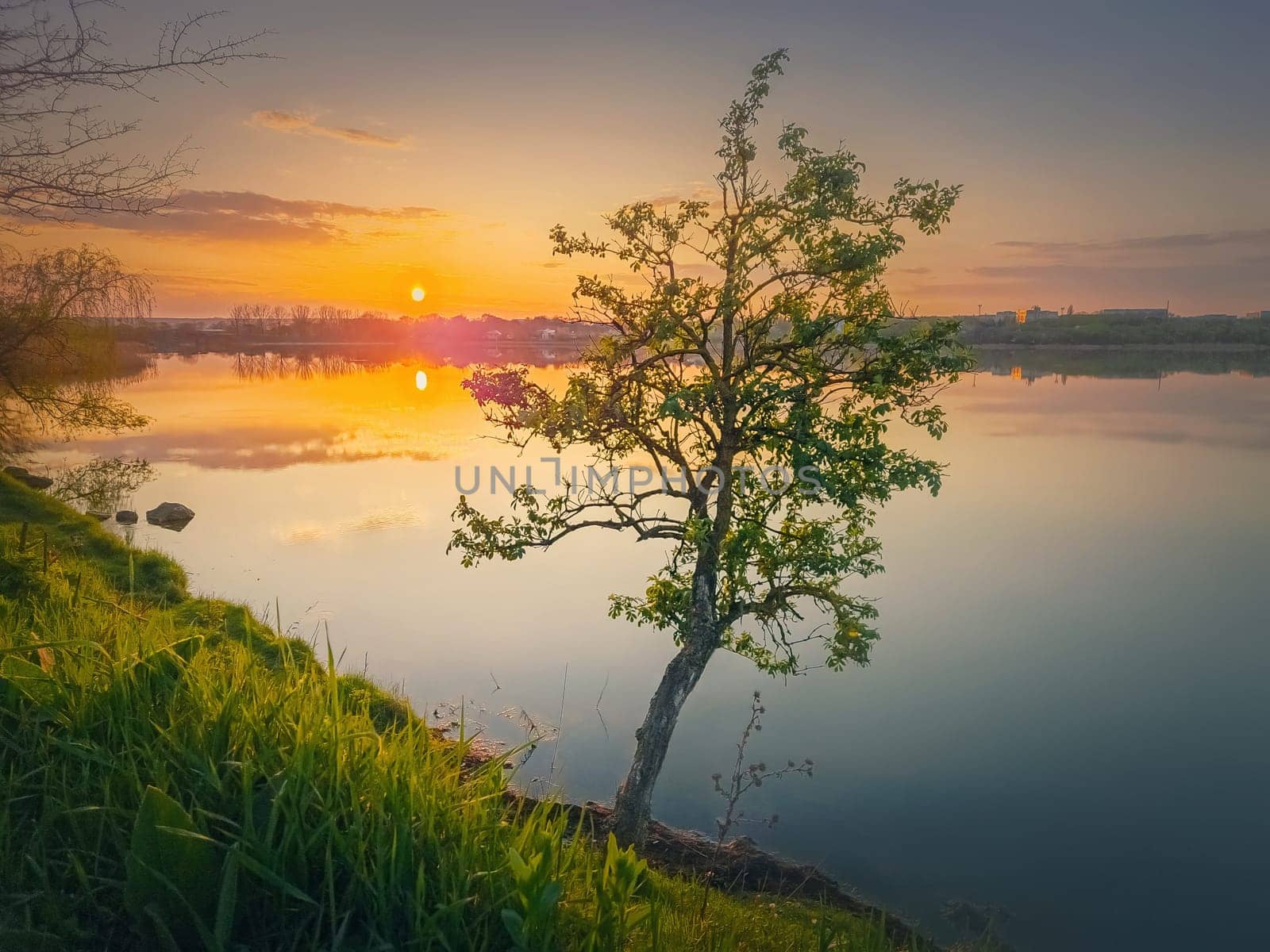 Sundown scene at the lake with a single tree on the shore. Vibrant sunset reflecting in the pond calm water. Idyllic spring landscape by psychoshadow