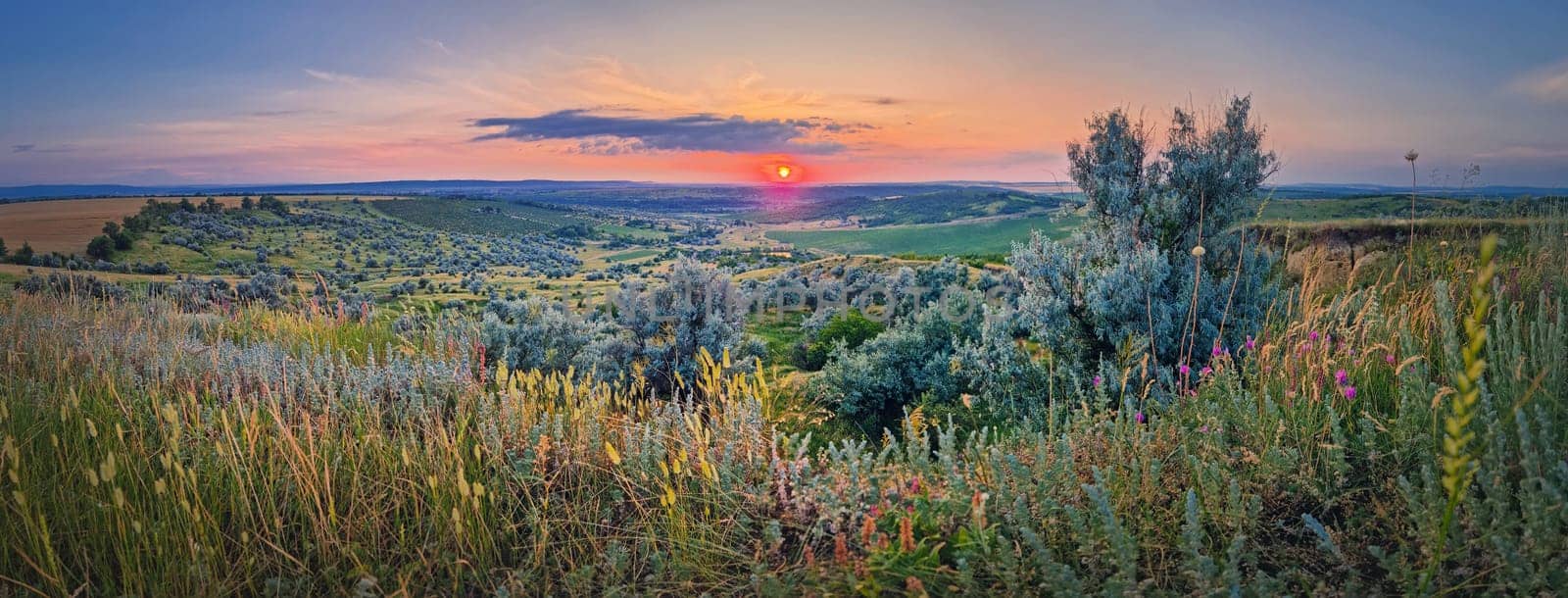 Summer sunset panorama. Scenic view over the green valley with bushes. Evening natural landscape