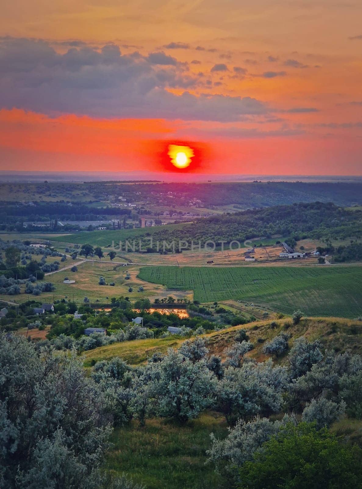 Red summer sunset scenic view over the green valley with bushes and trees. Evening natural landscape
