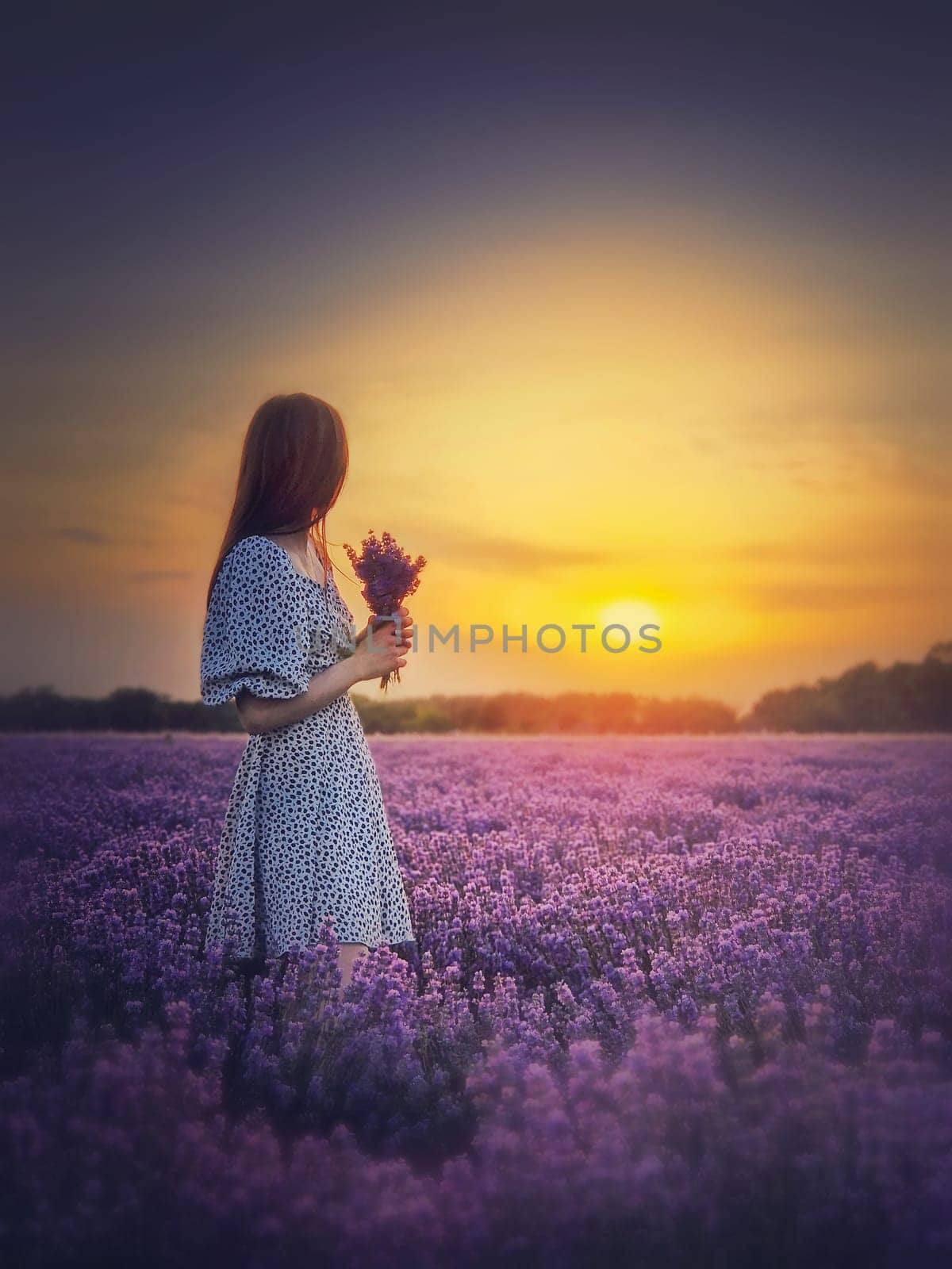 Side portrait of a young woman in dress stands in the purple lavender field looking at the beautiful sunset sky. Natural summer dusk scene by psychoshadow