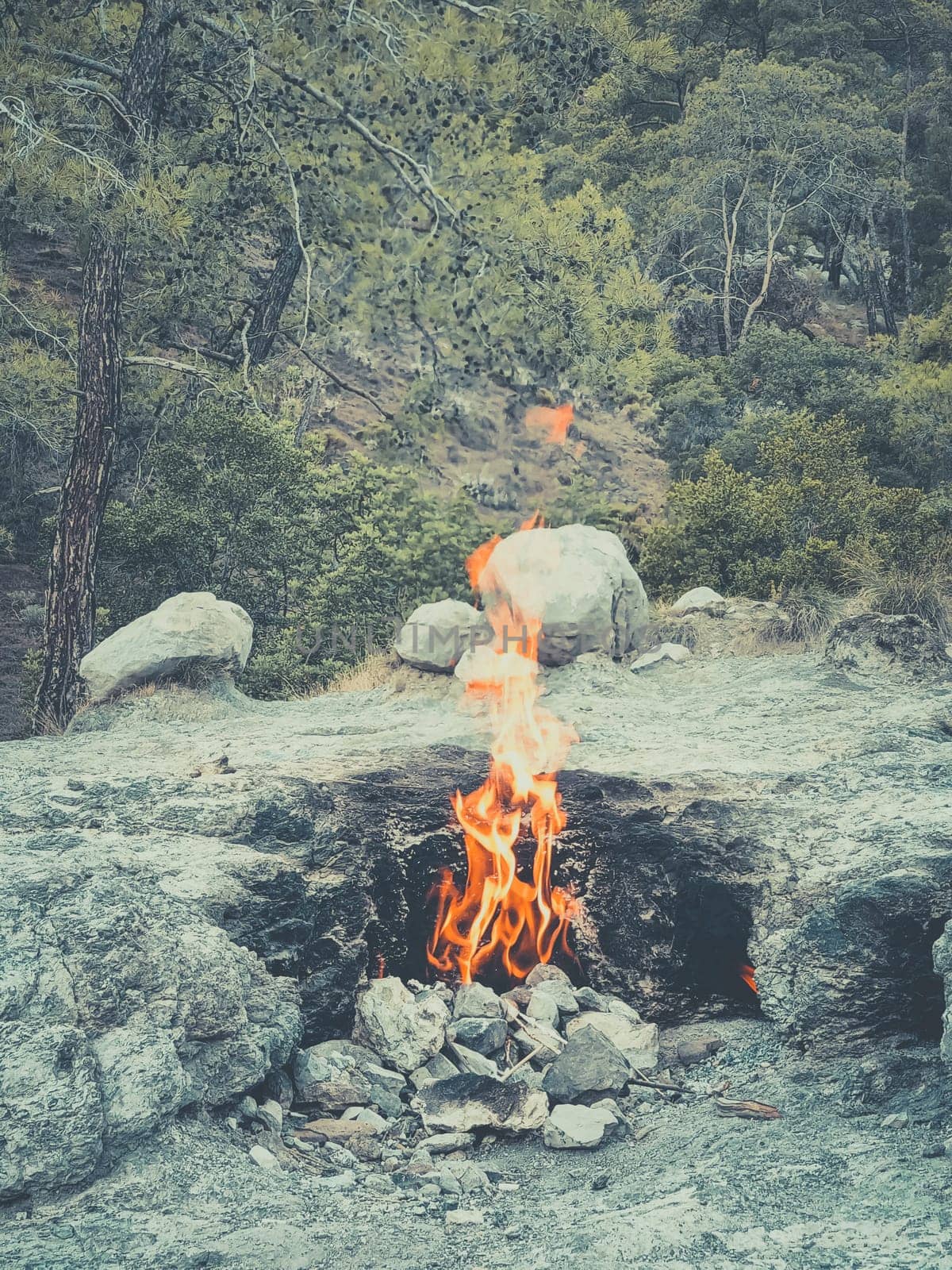 vertical photo, fire from the mountain, stones are burning, the flame of the Chimera shoots out from under the ground. Natural gas fire in rocks in Cirali, Turkey.