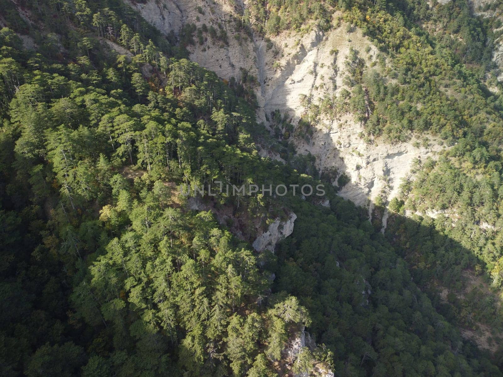 Aerial panoramic view of forest on rocky mountain slope - Ai Petri, Yalta, Crimea. Abstract aerial nature forest and mountains. Weather and Climate Change. Vacation, travel and holiday concept by panophotograph