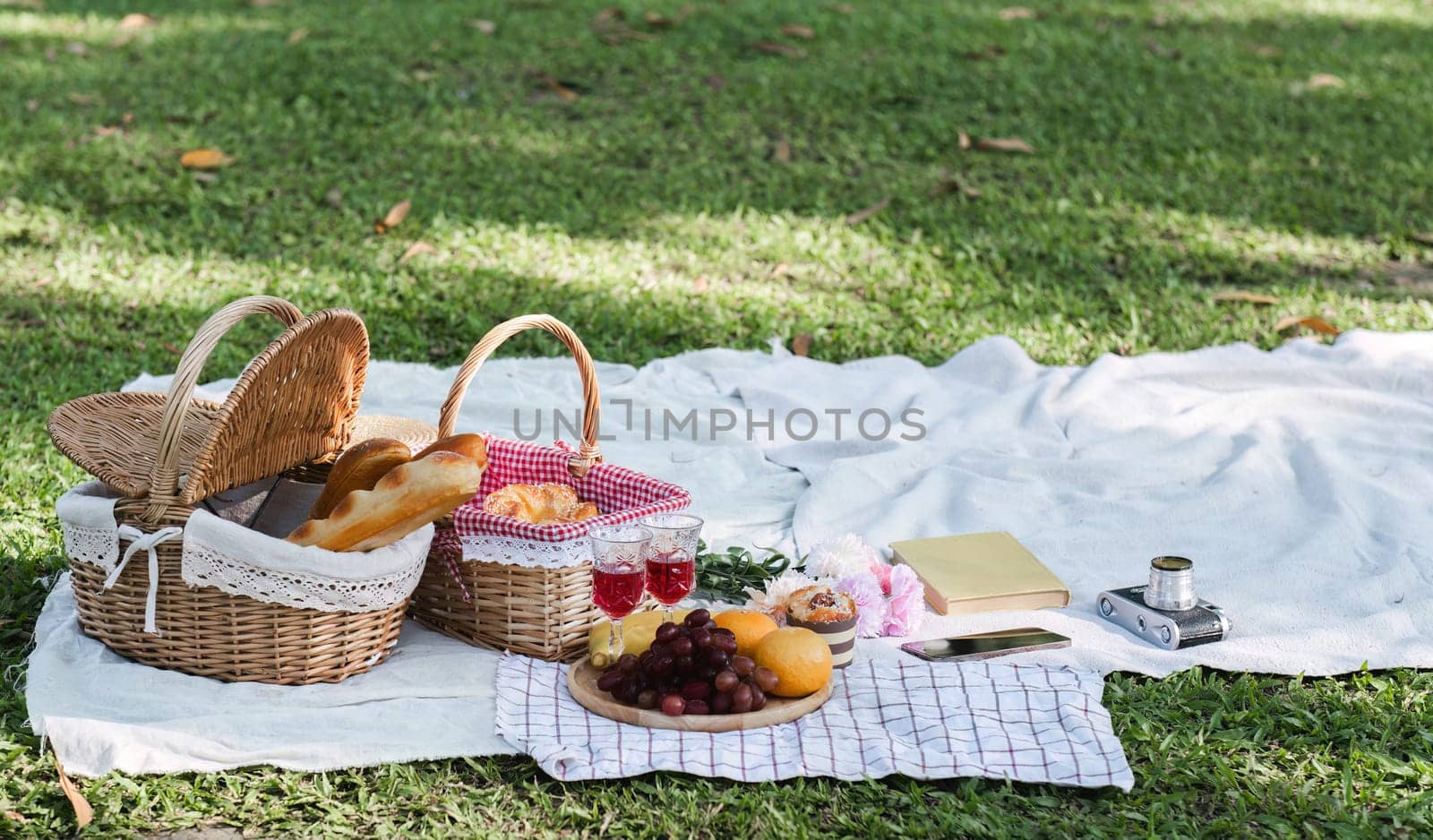 Picnic basket with products and two glasses of wine on a checkered blanket in the park.