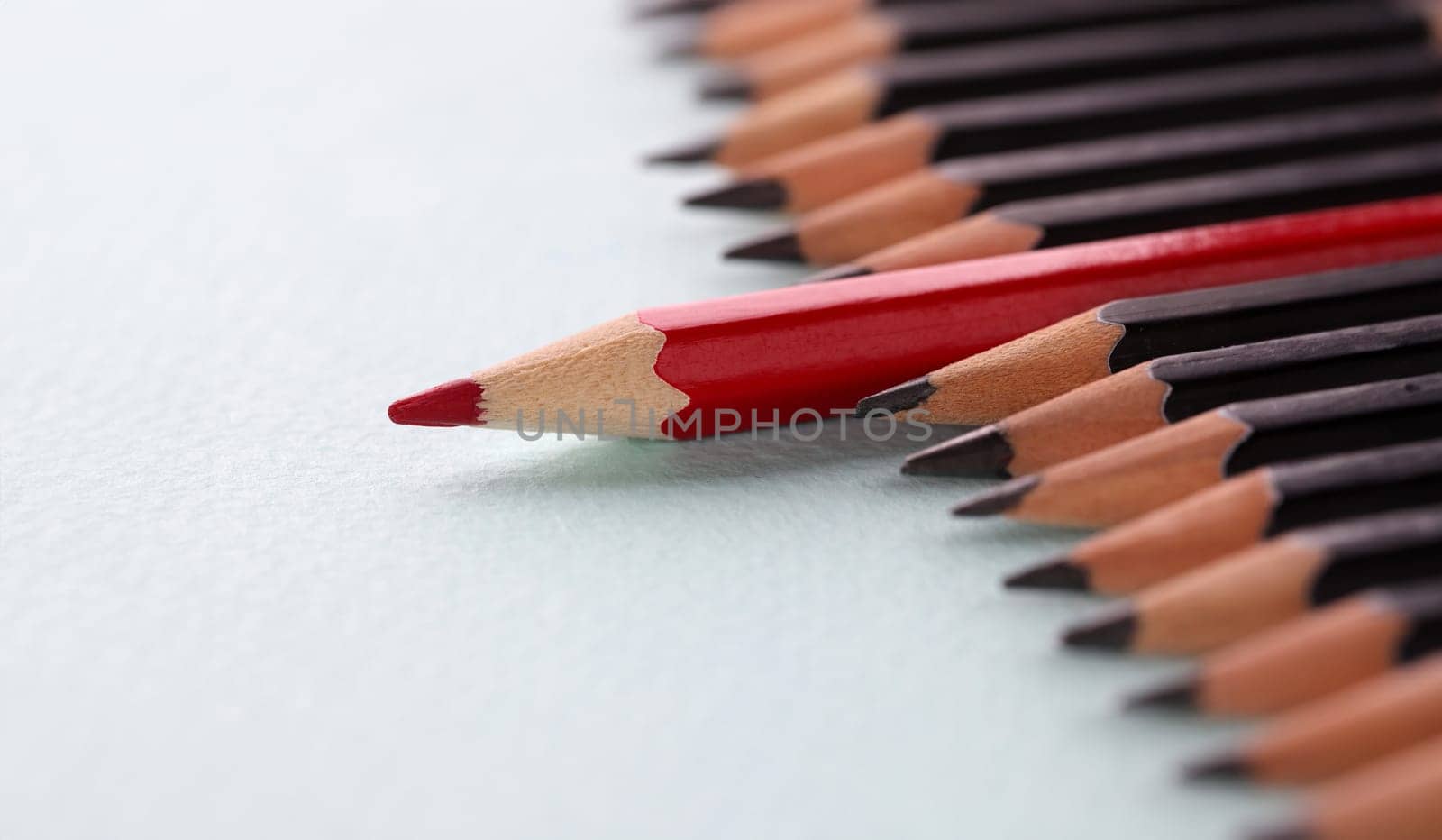 Red pencil lying among black on white background closeup. Leadership qualities in business concept