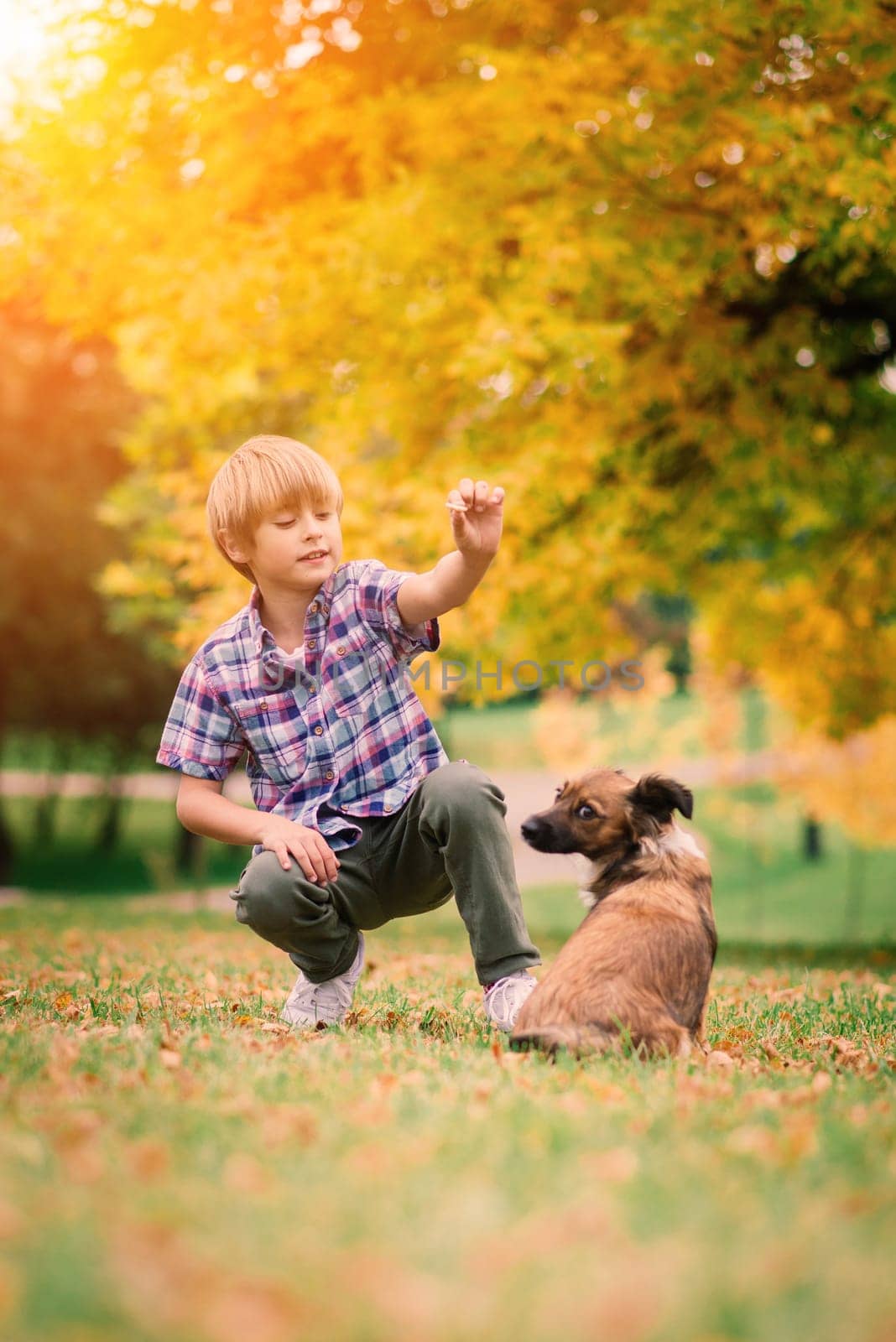 Cute boy playing and walking with his dog in a meadow. by Zelenin