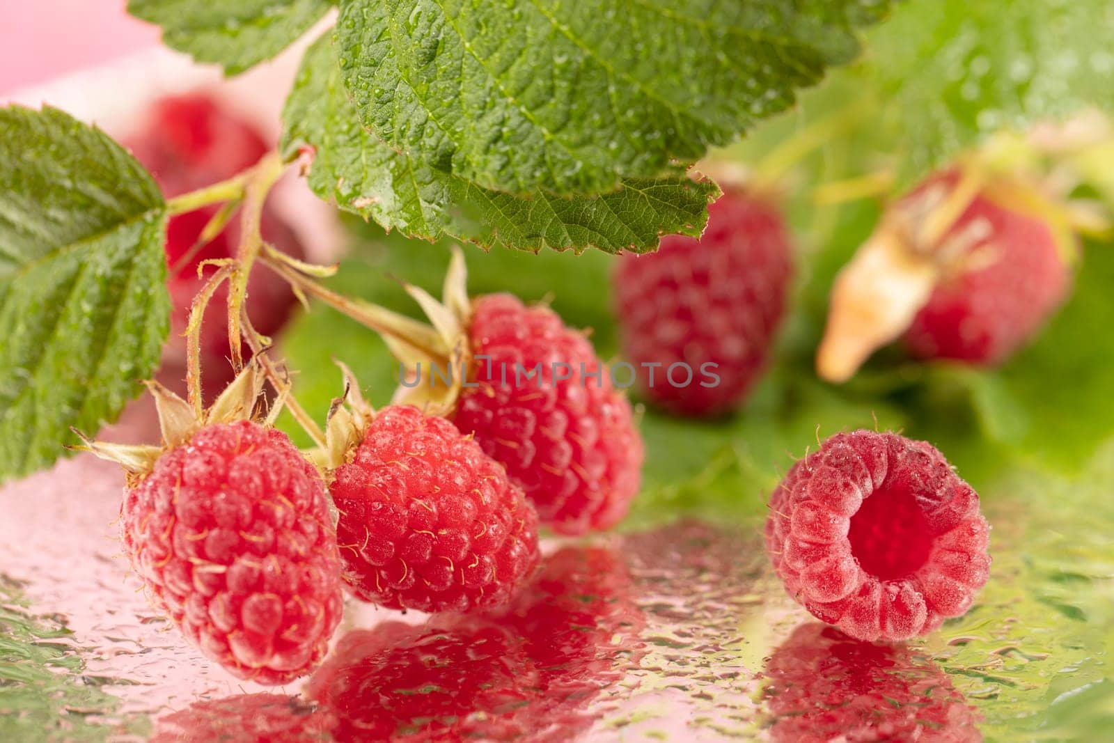 Raspberries with green leaves lie against a golden background.