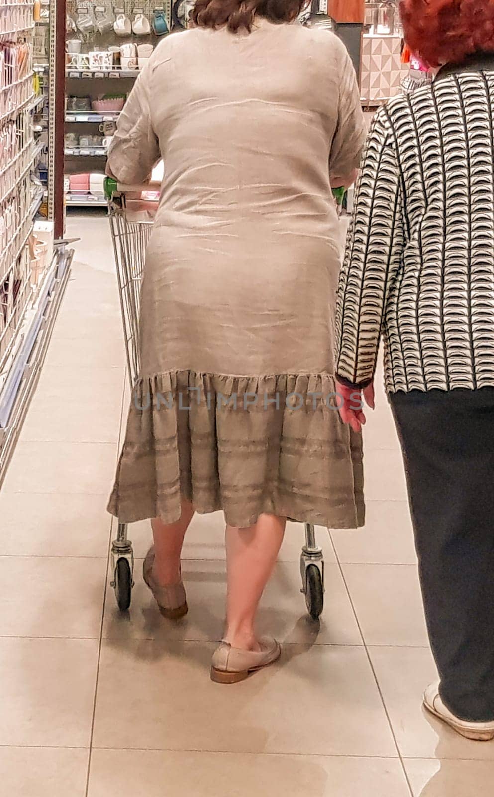 Two elderly women with a shopping cart of Caucasian appearance in a supermarket, back view, vertical, close-up.